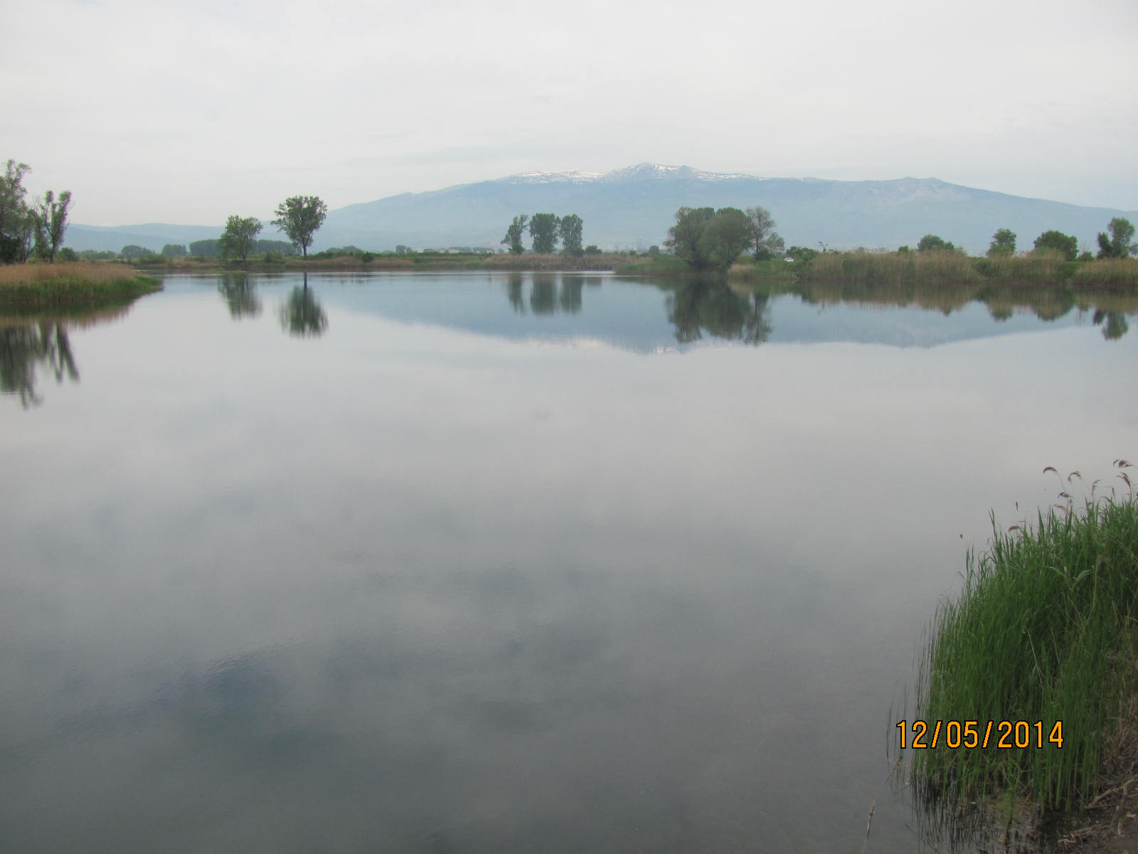 от богров 004.JPG