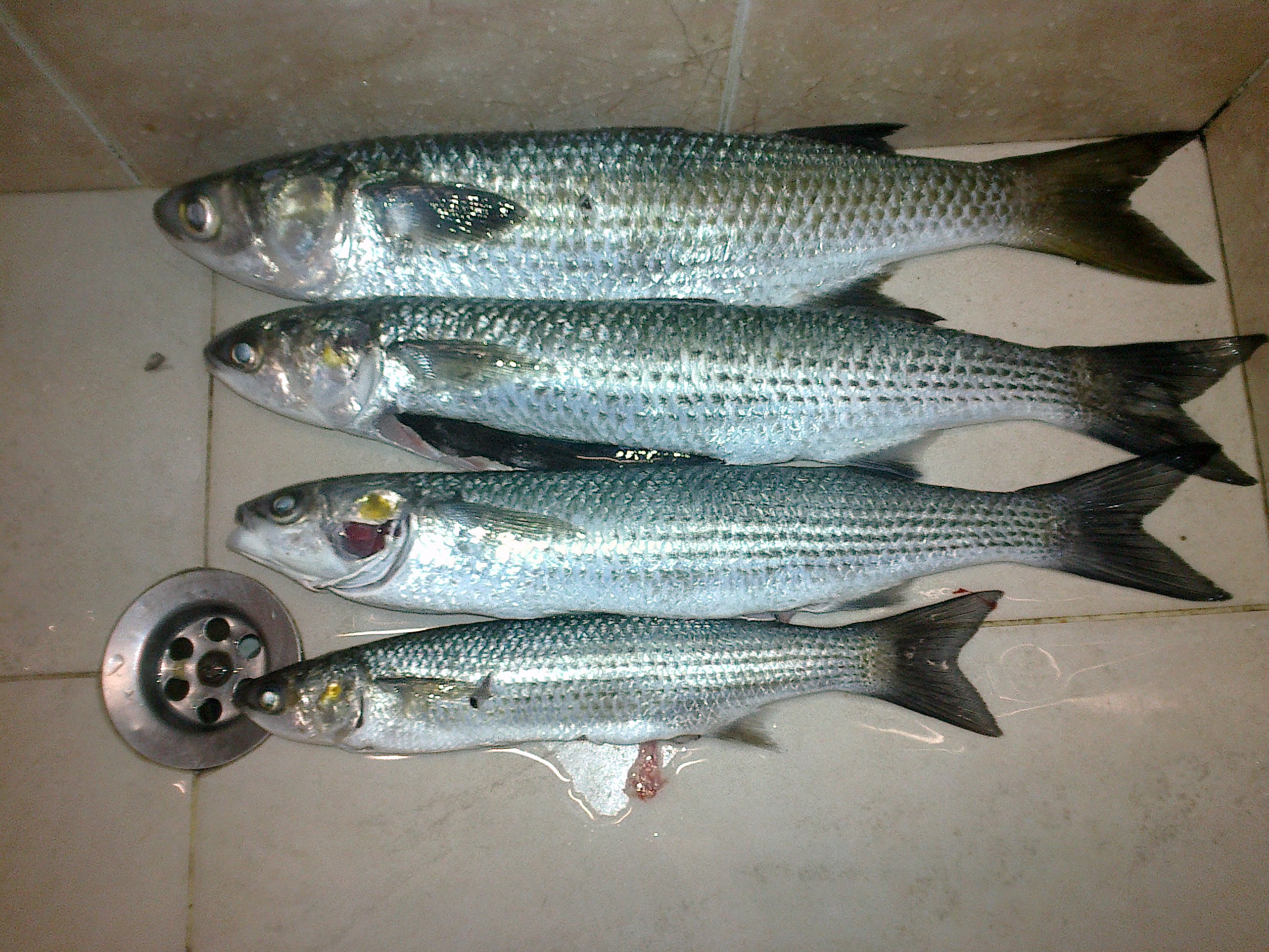 13052014976.jpg