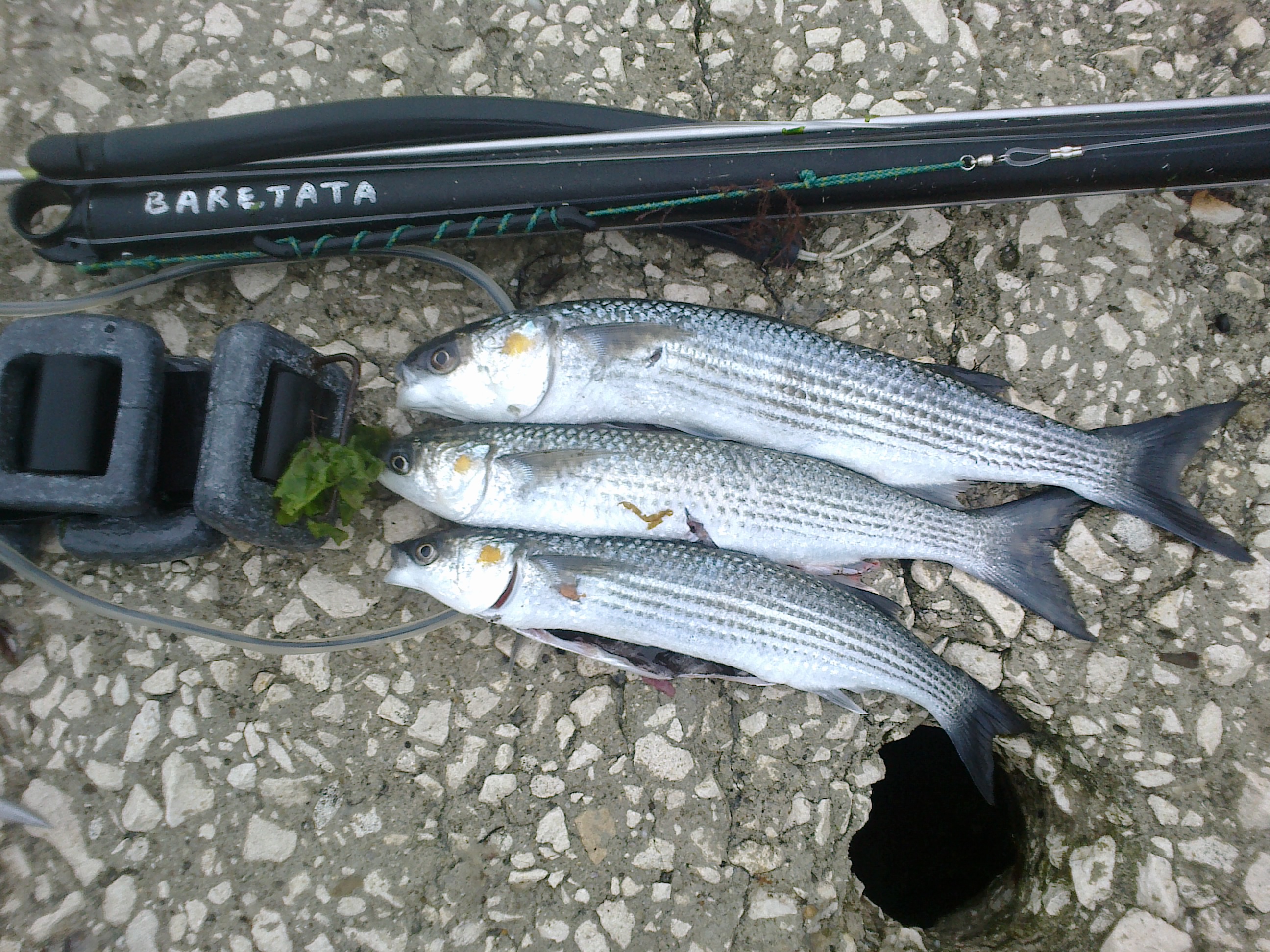14052014978.jpg