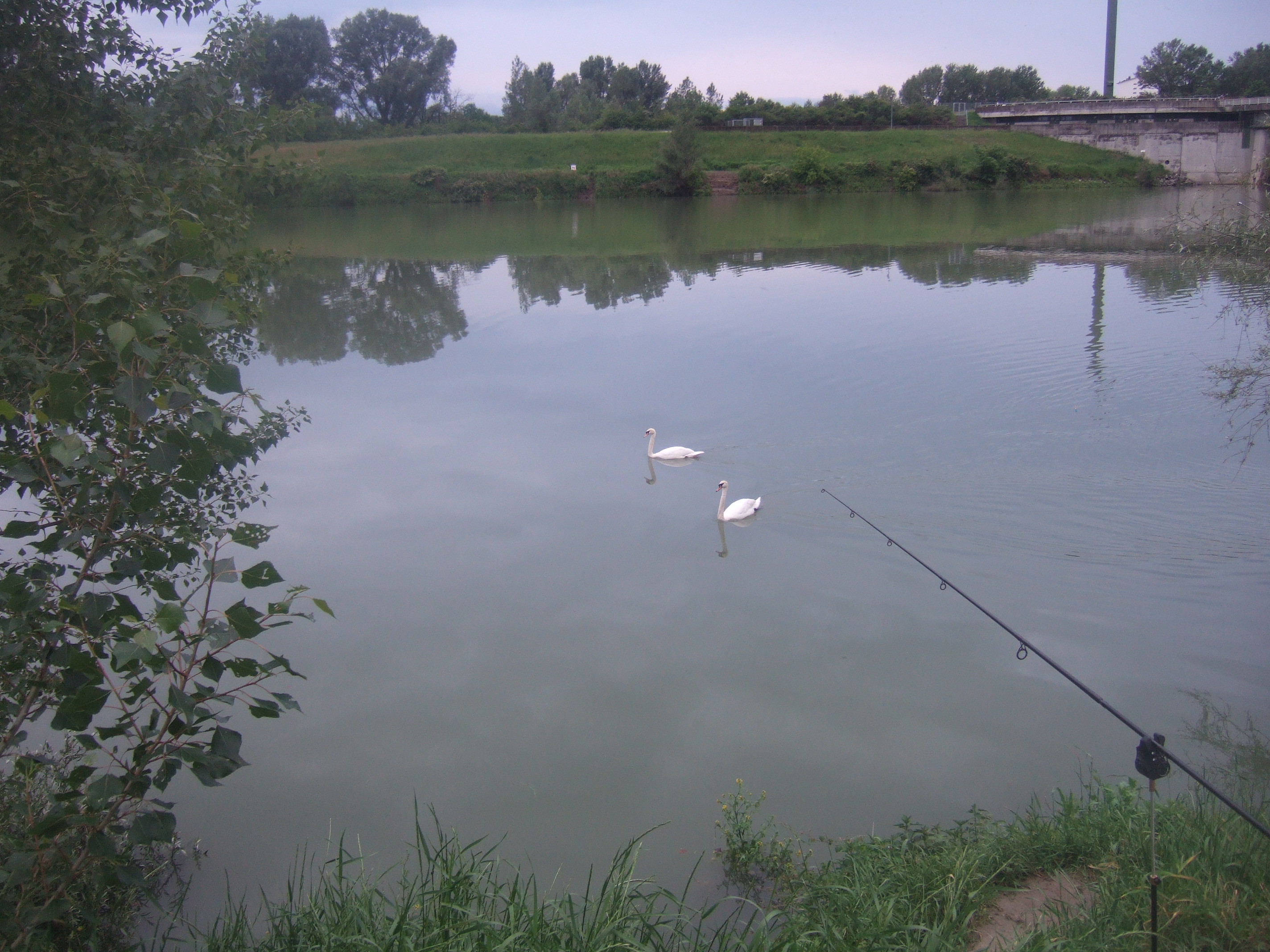 DSCF2608.JPG