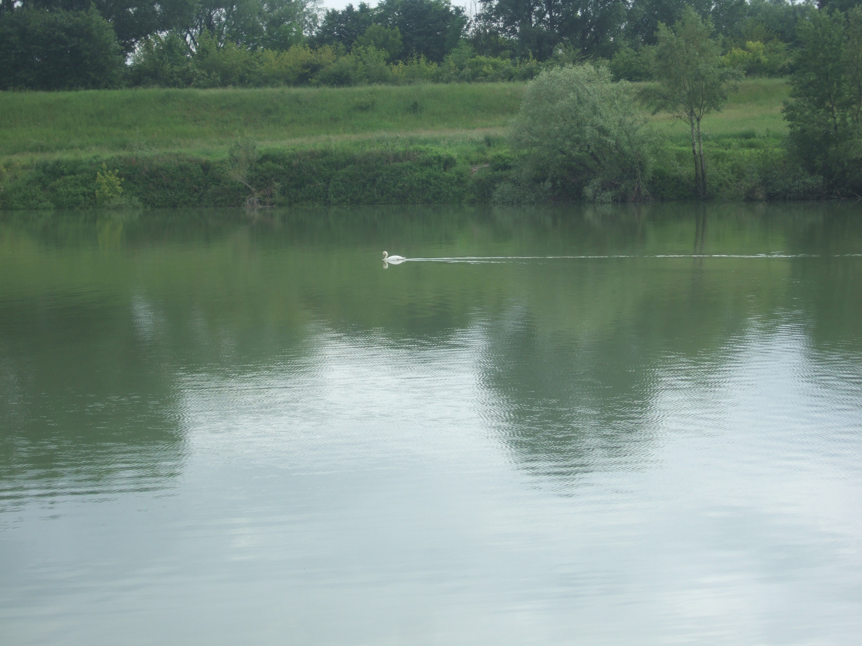 DSCF2606.JPG