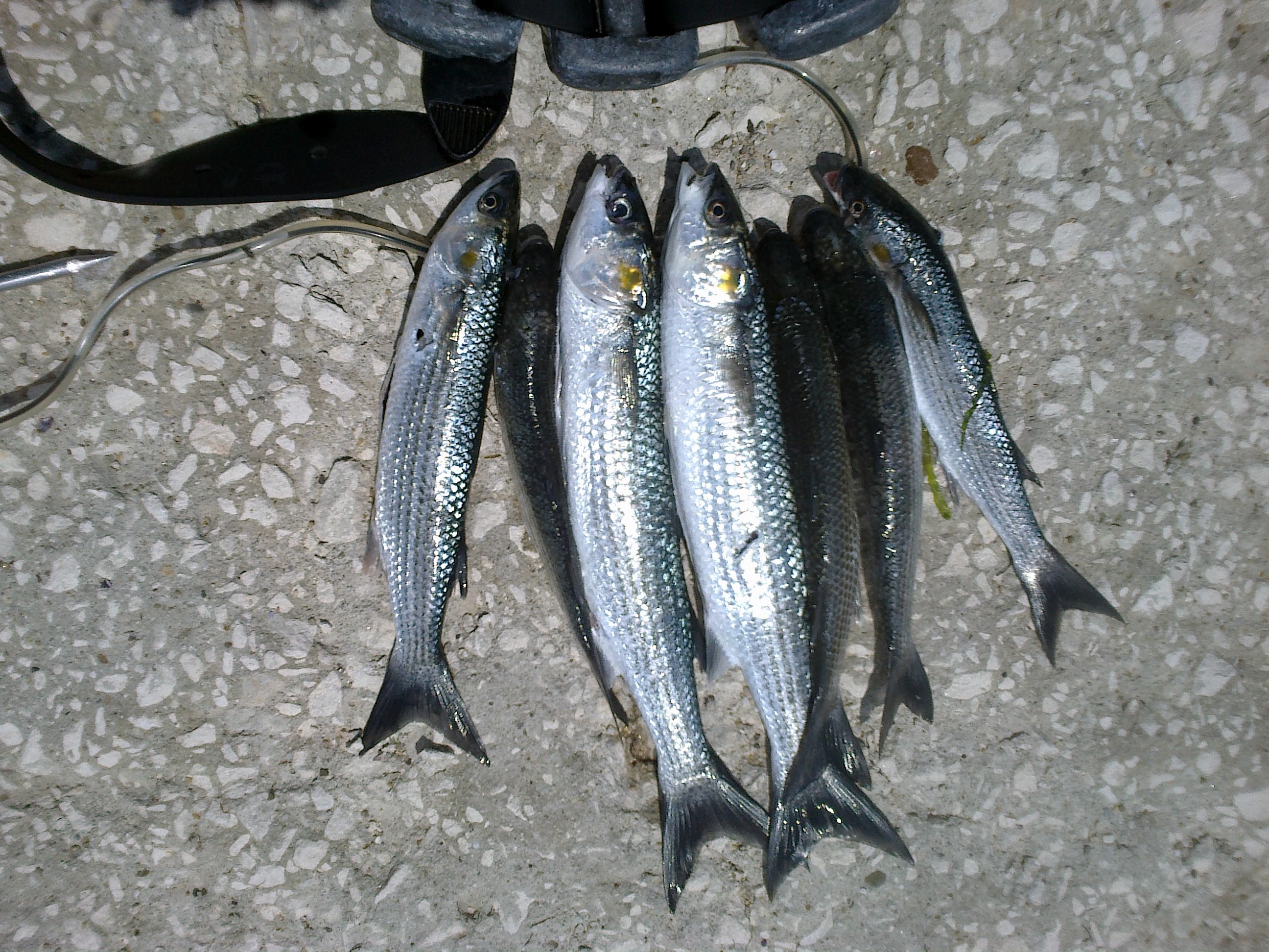 22052014995.jpg