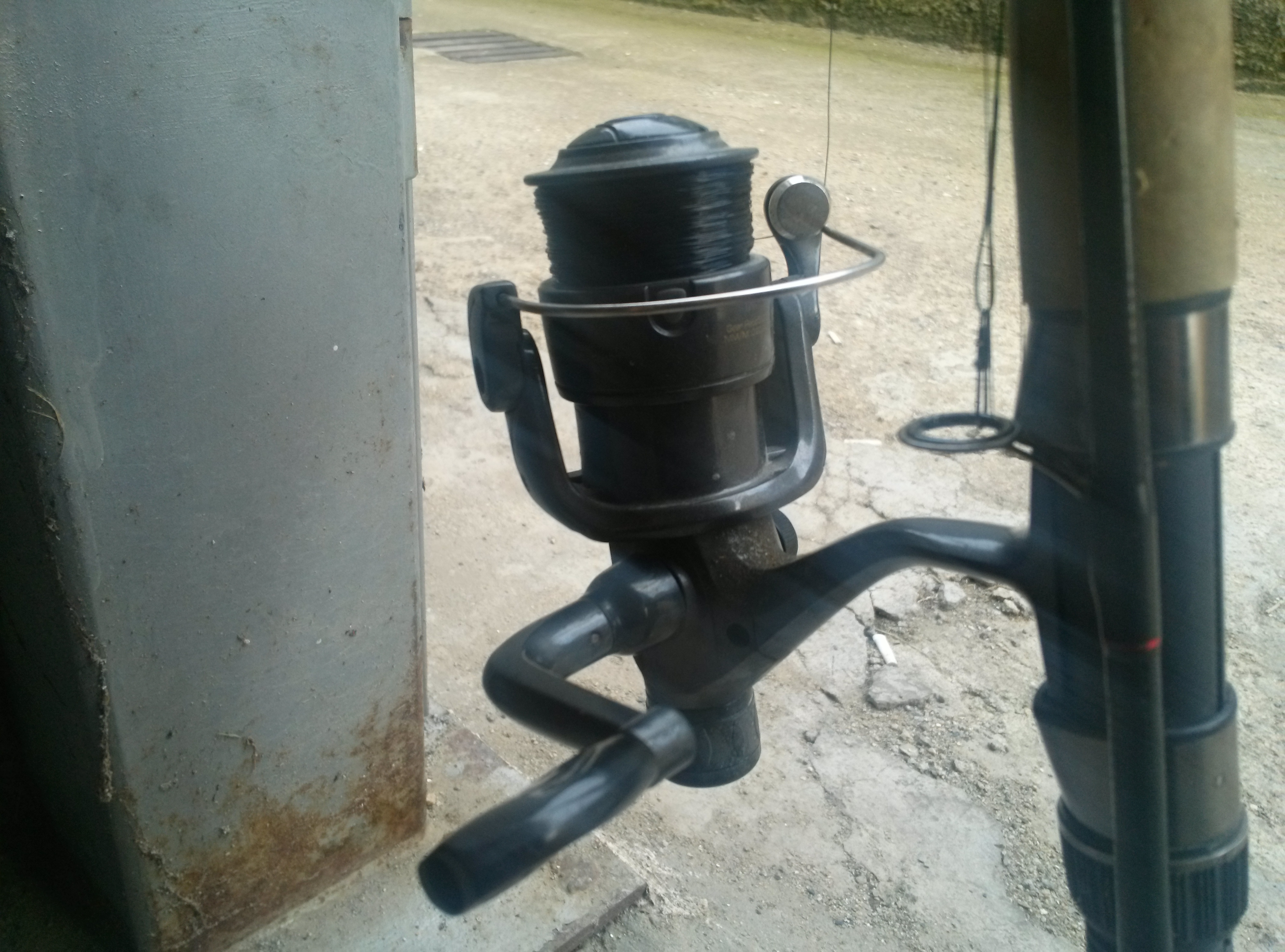 CAM00361.jpg