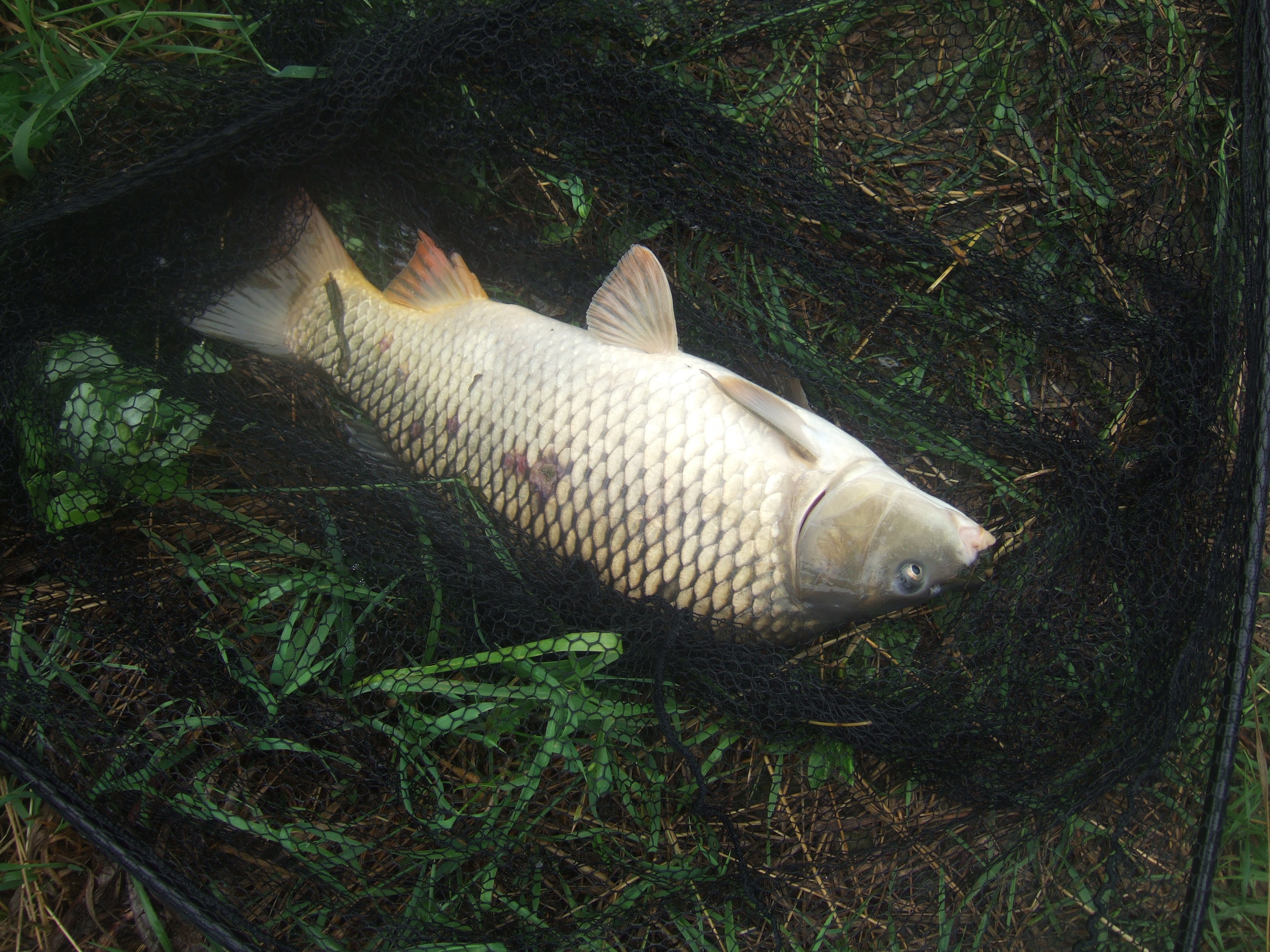 DSCF2612.JPG