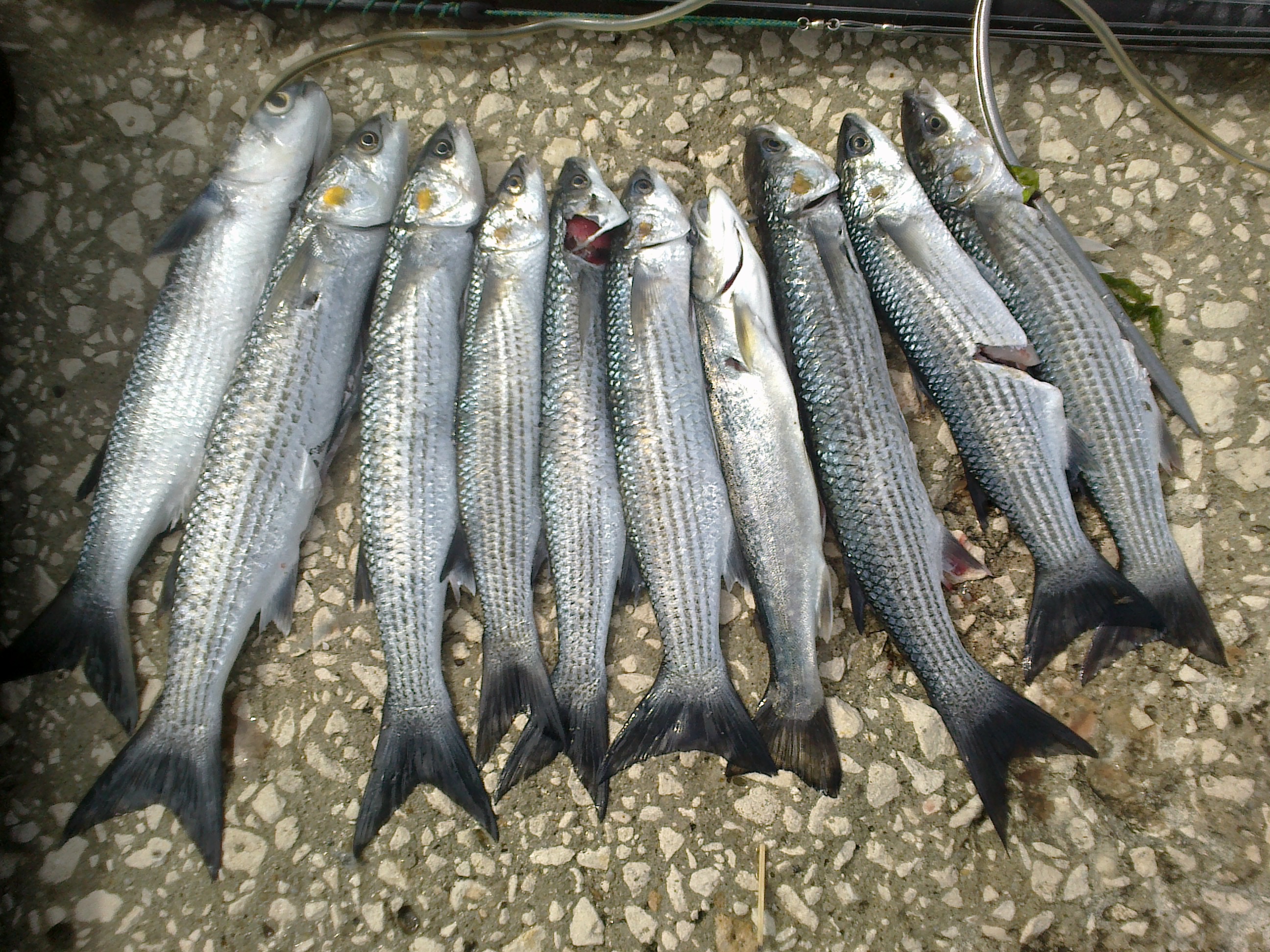 060620141010.jpg