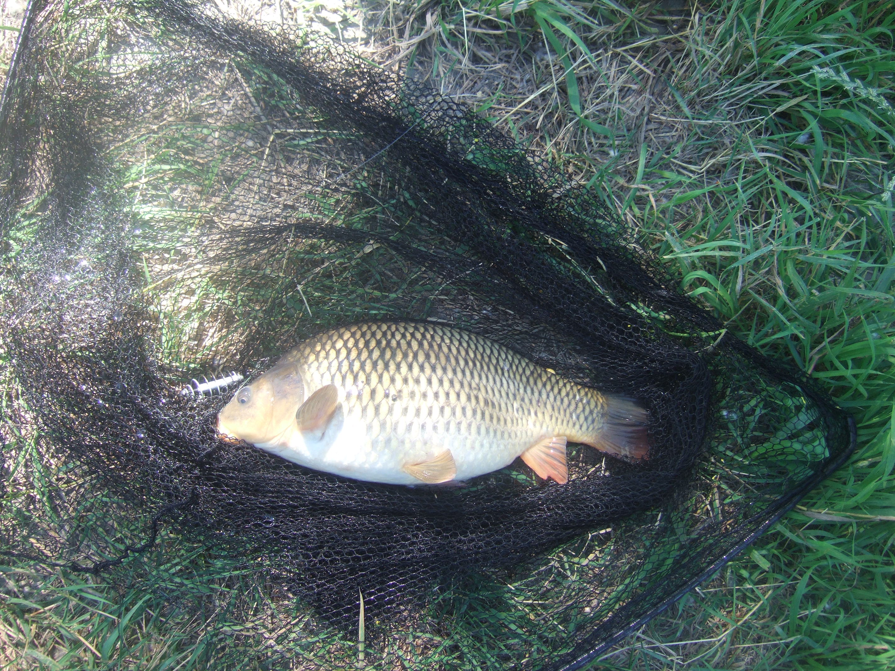 DSCF2667.JPG
