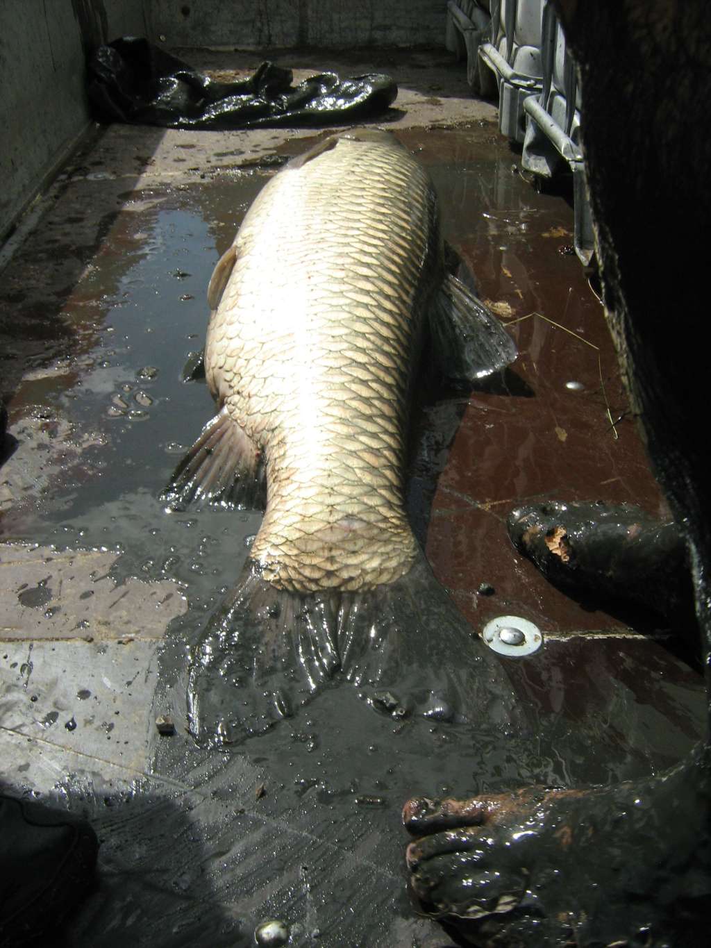 10.09.2010 011.jpg