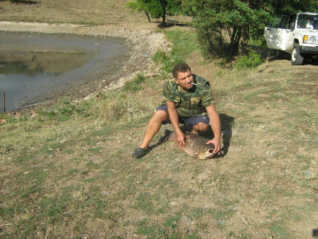 10.09.2010 041.jpg