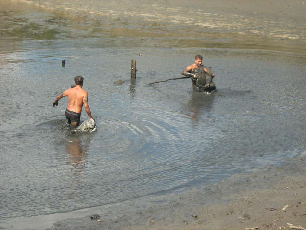 10.09.2010 018.jpg