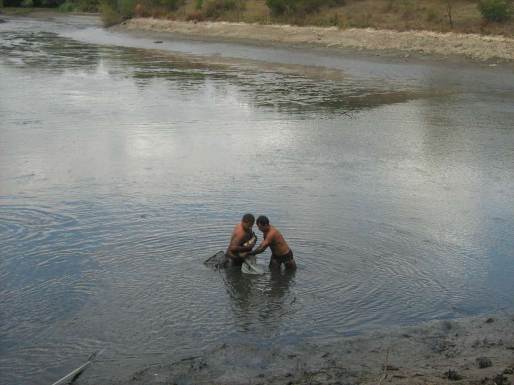 10.09.2010 017.jpg