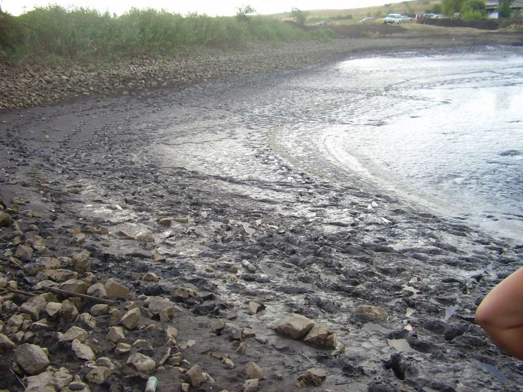11.09.2010 048.jpg