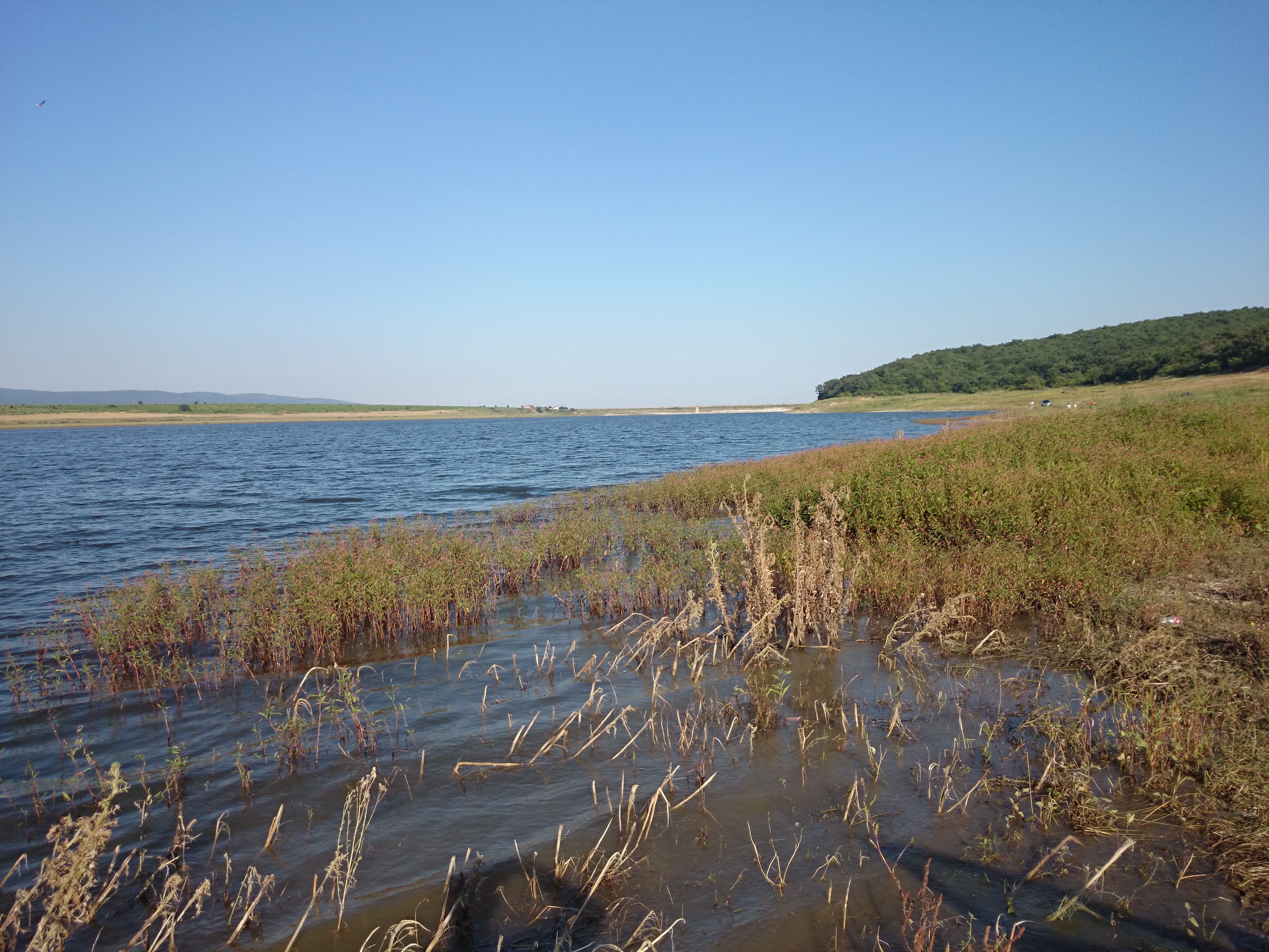 DSC_0160.JPG
