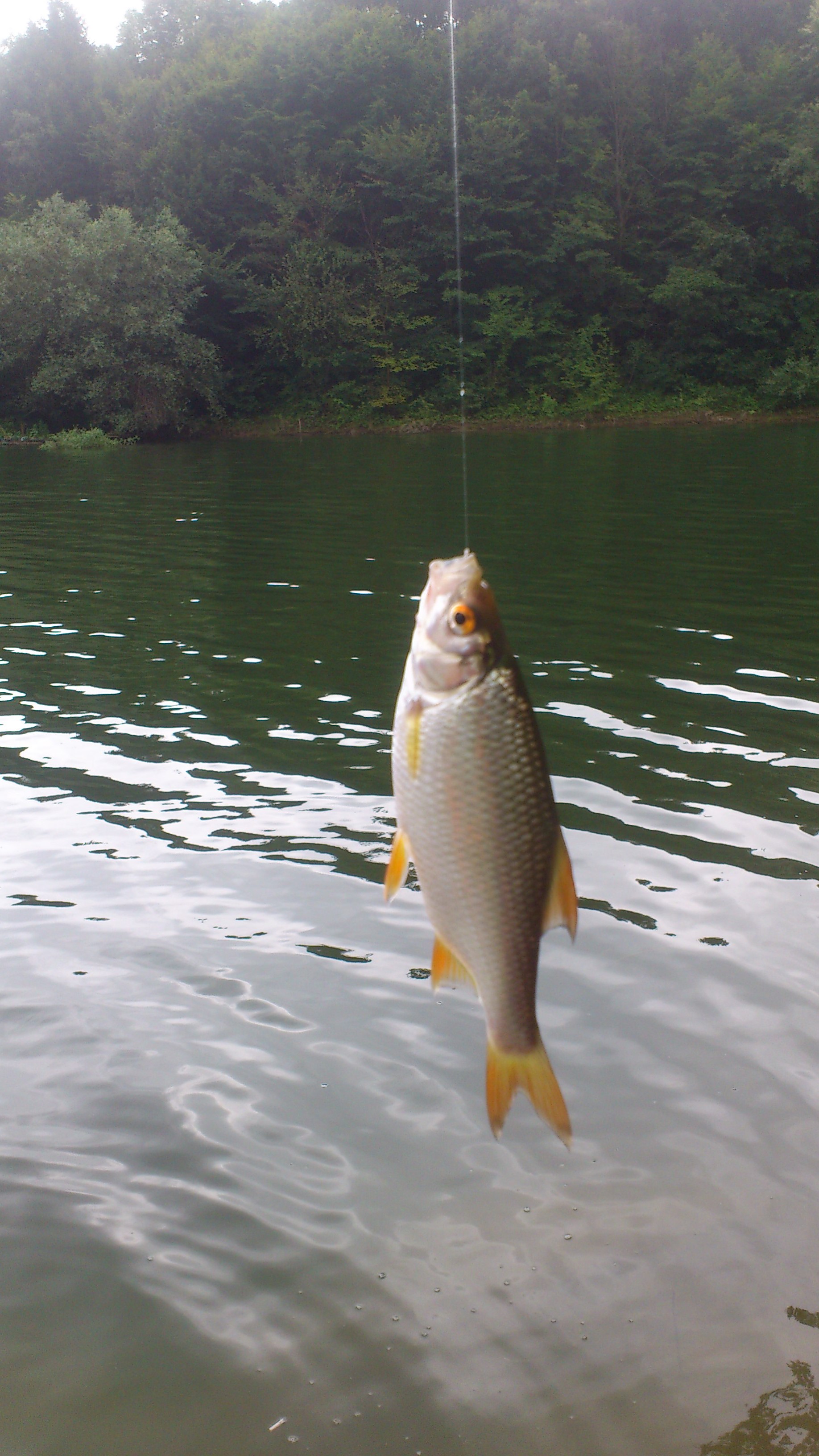 DSC_0216.JPG
