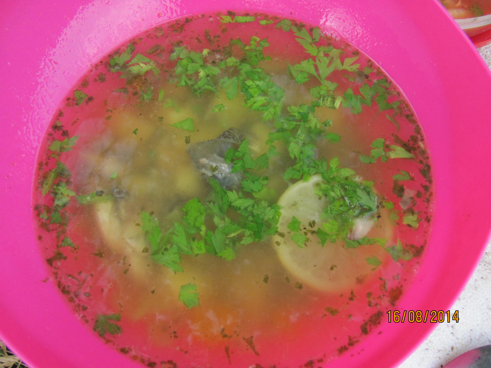 искър-15-16 08 14 021.JPG