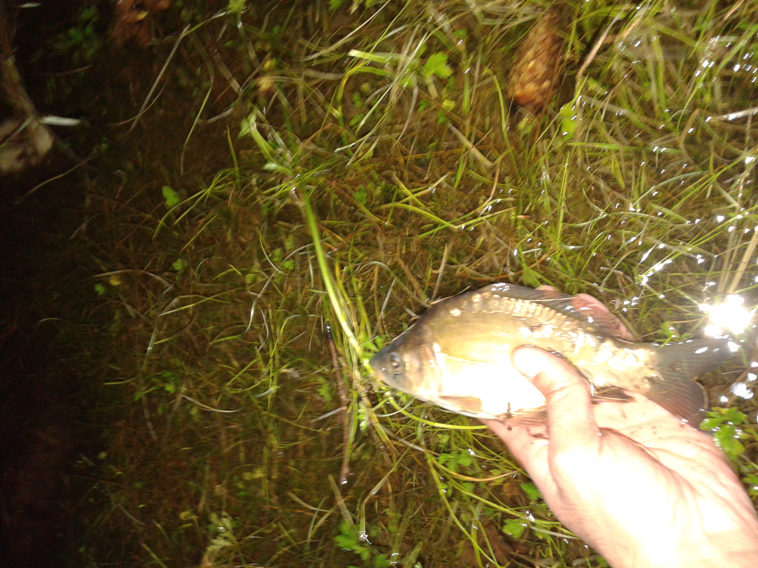 20140817_214014.jpg