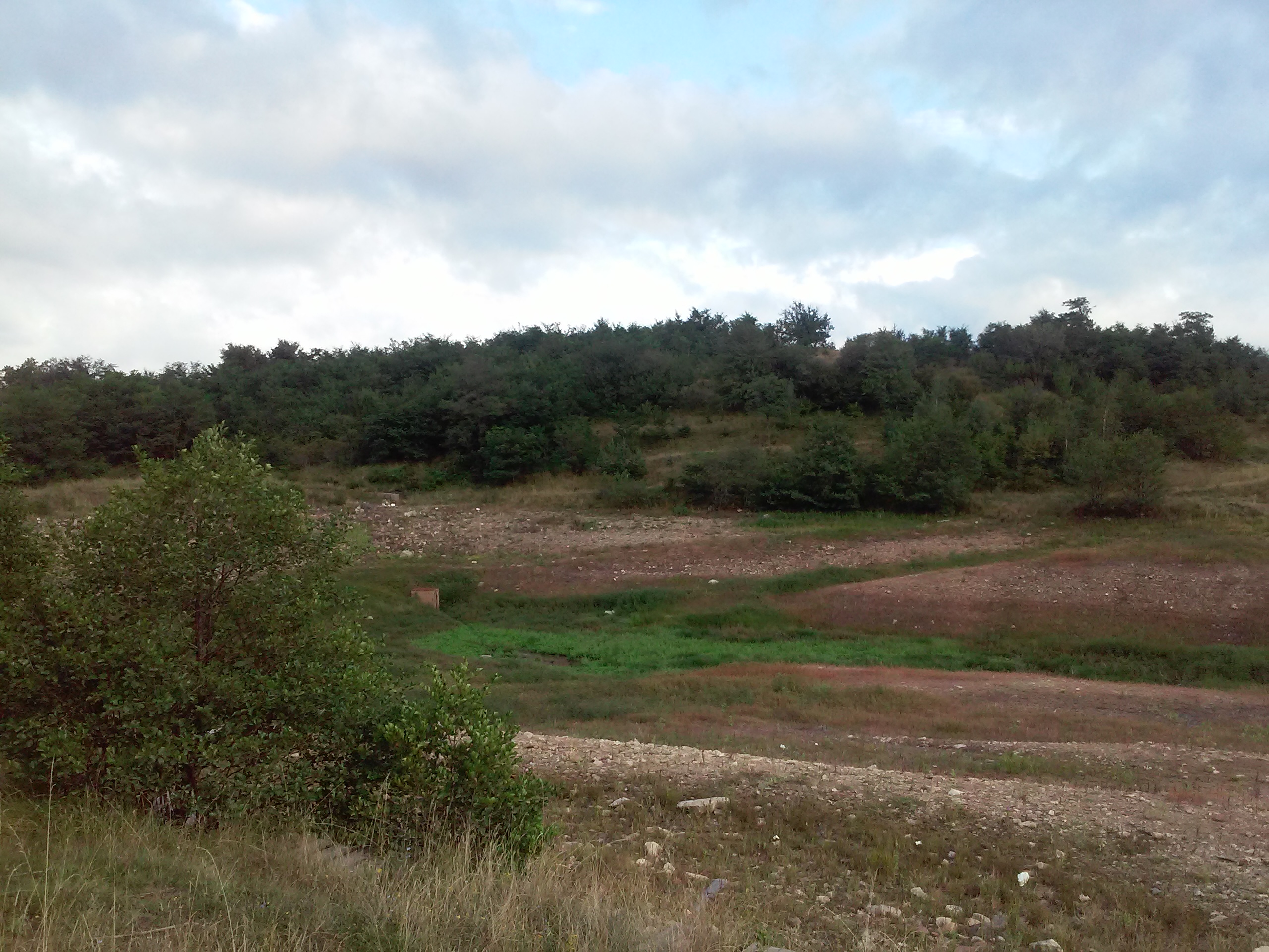 20140905_173948.jpg