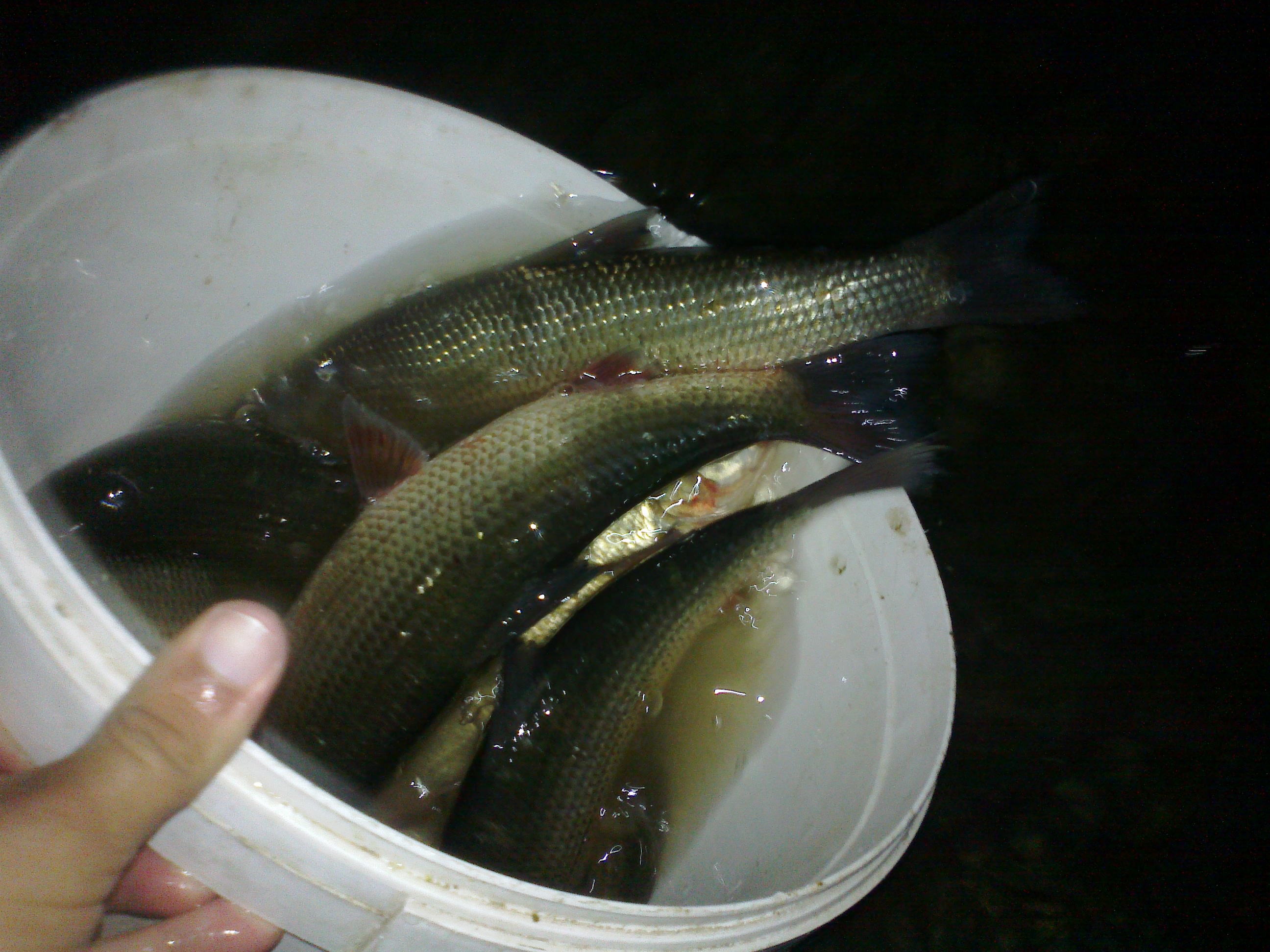 100920141276.jpg