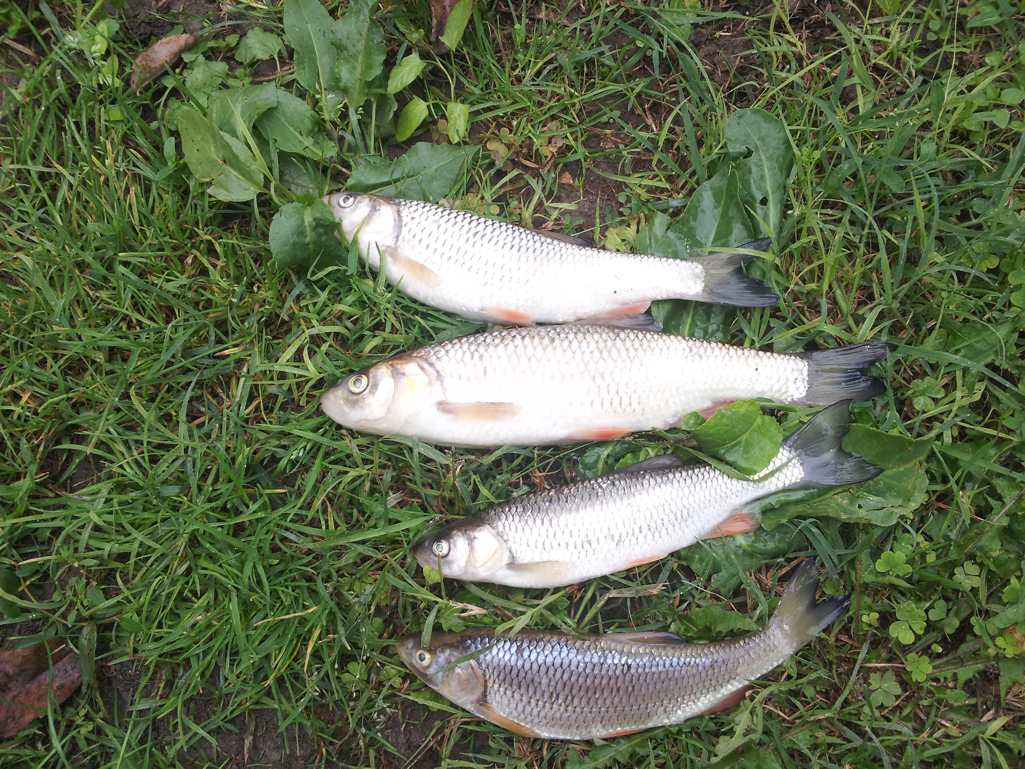 20140921_105726.jpg
