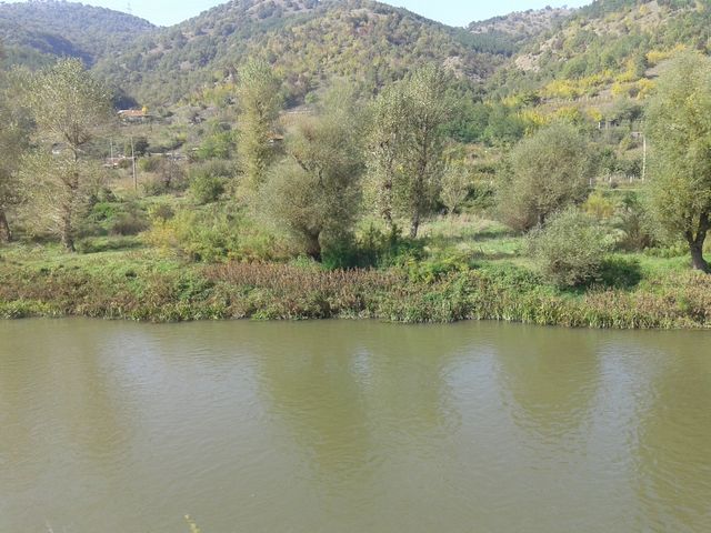 20141009_144425.jpg