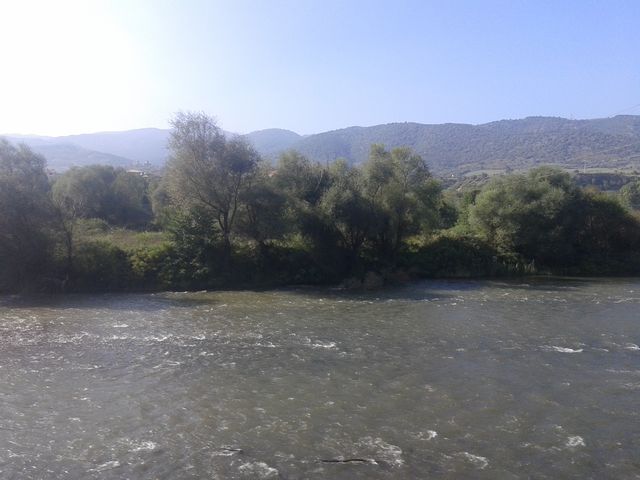20141009_145103.jpg