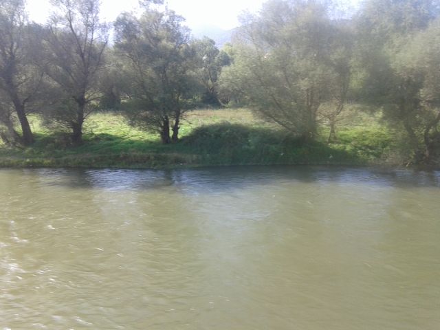 20141009_145111.jpg