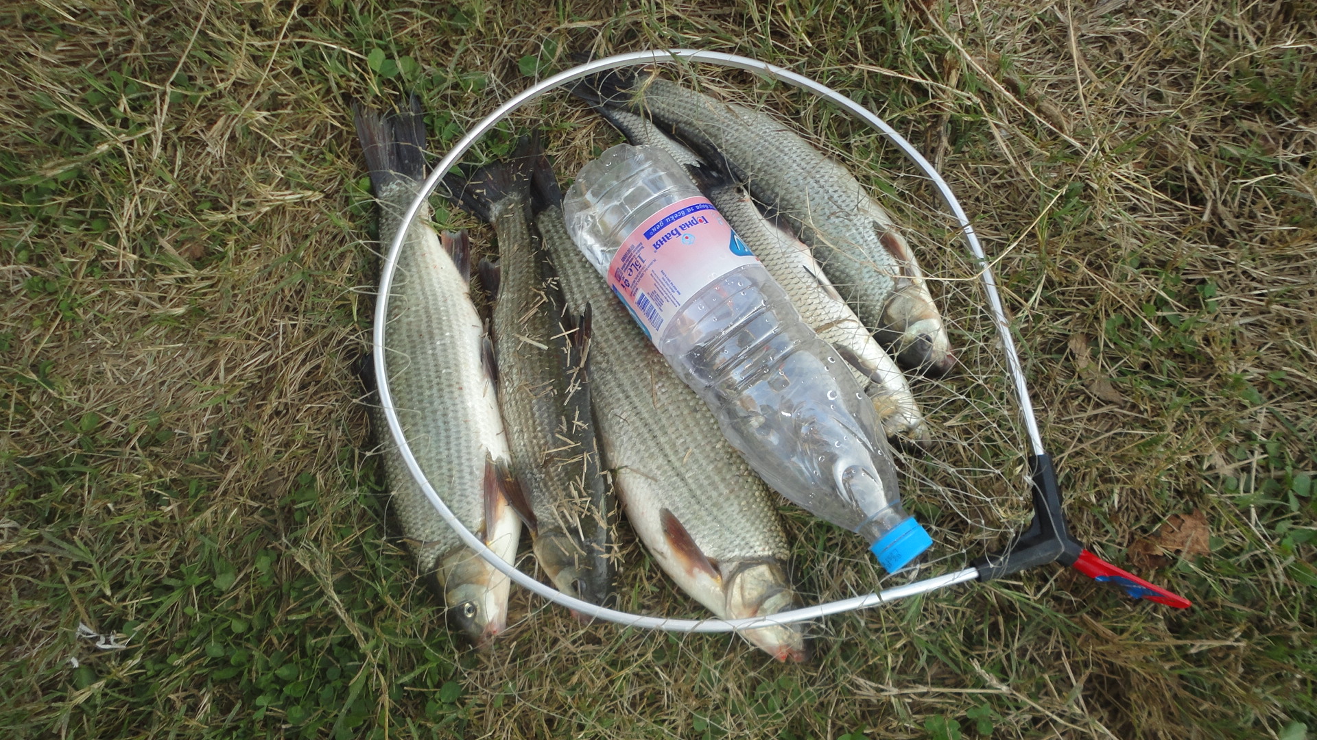 DSC04124.JPG