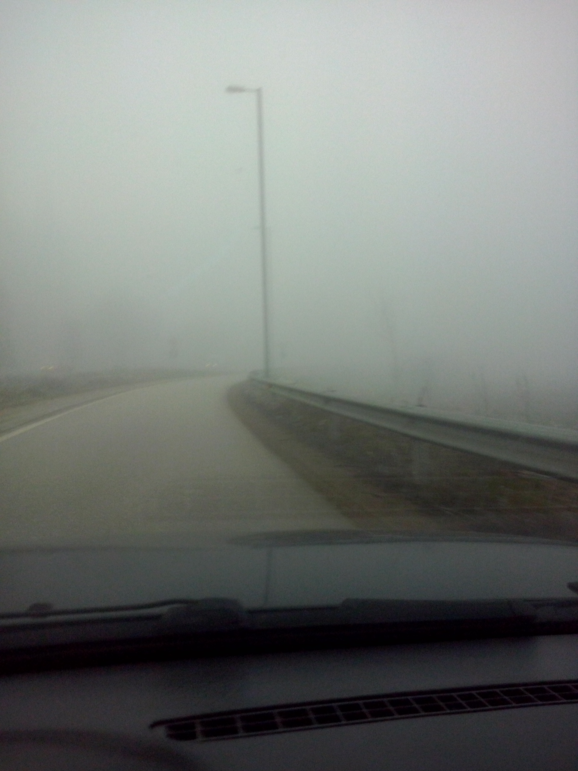CAM00217.jpg