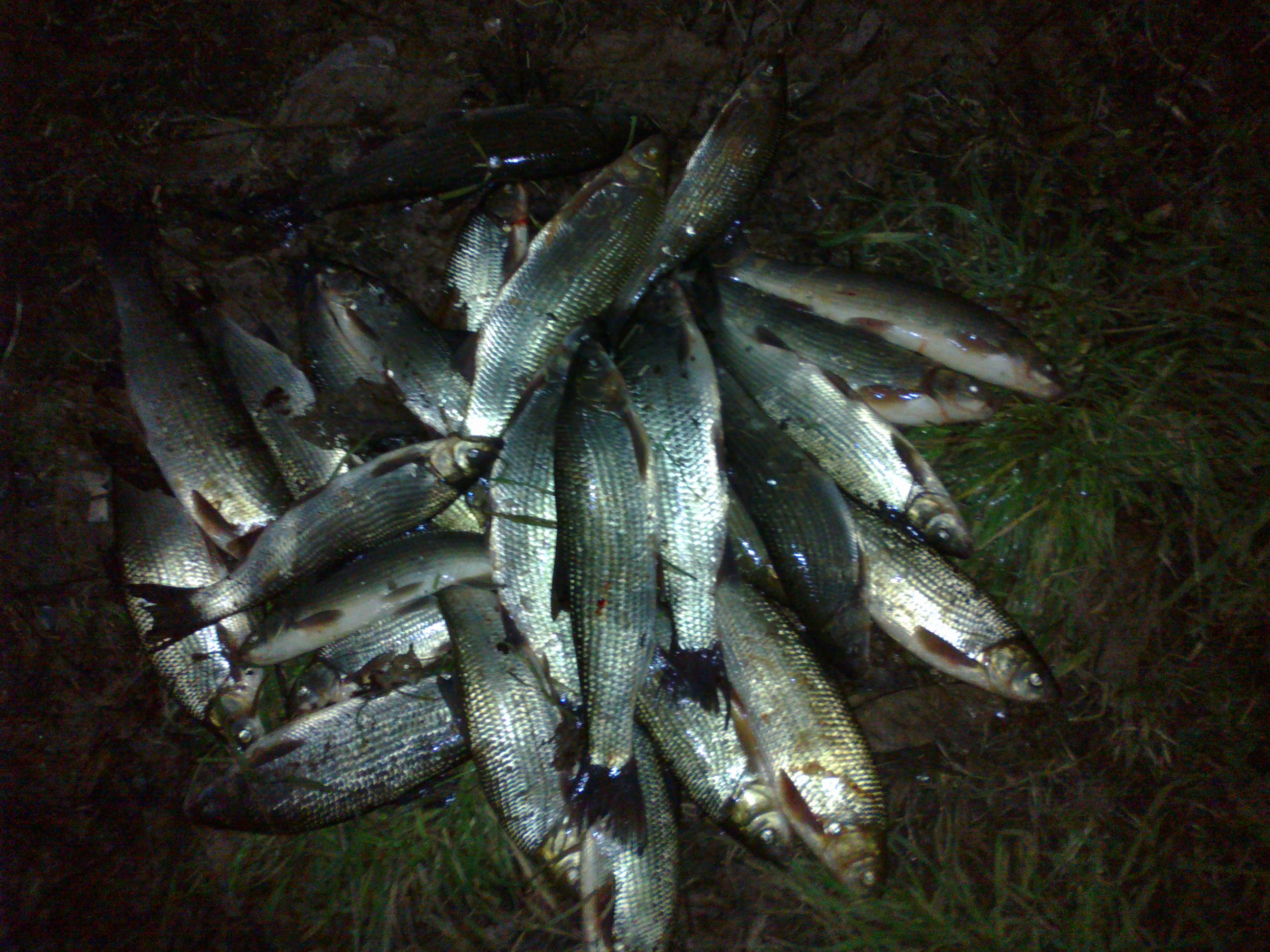 211220141318.jpg