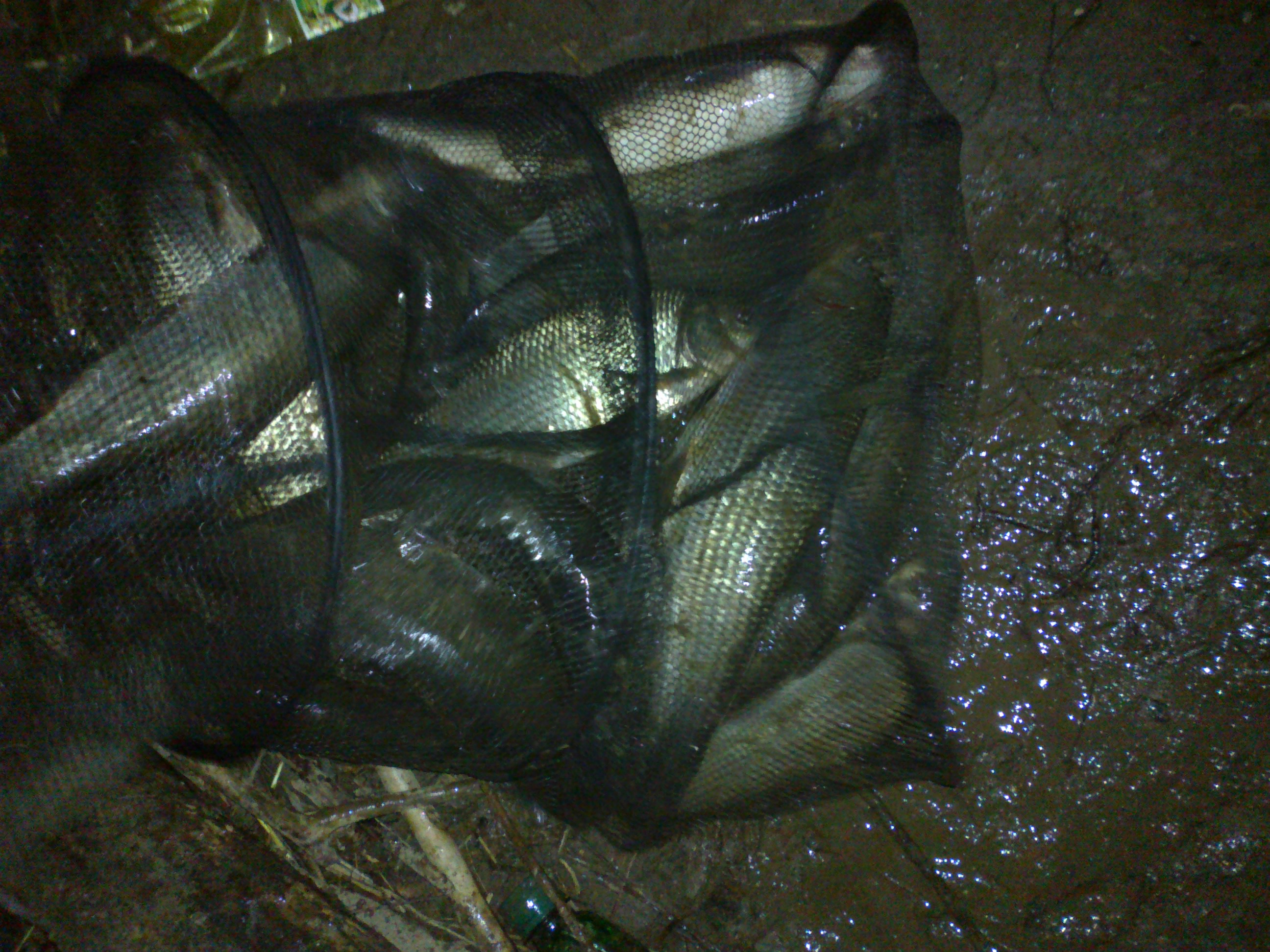 231220141321.jpg