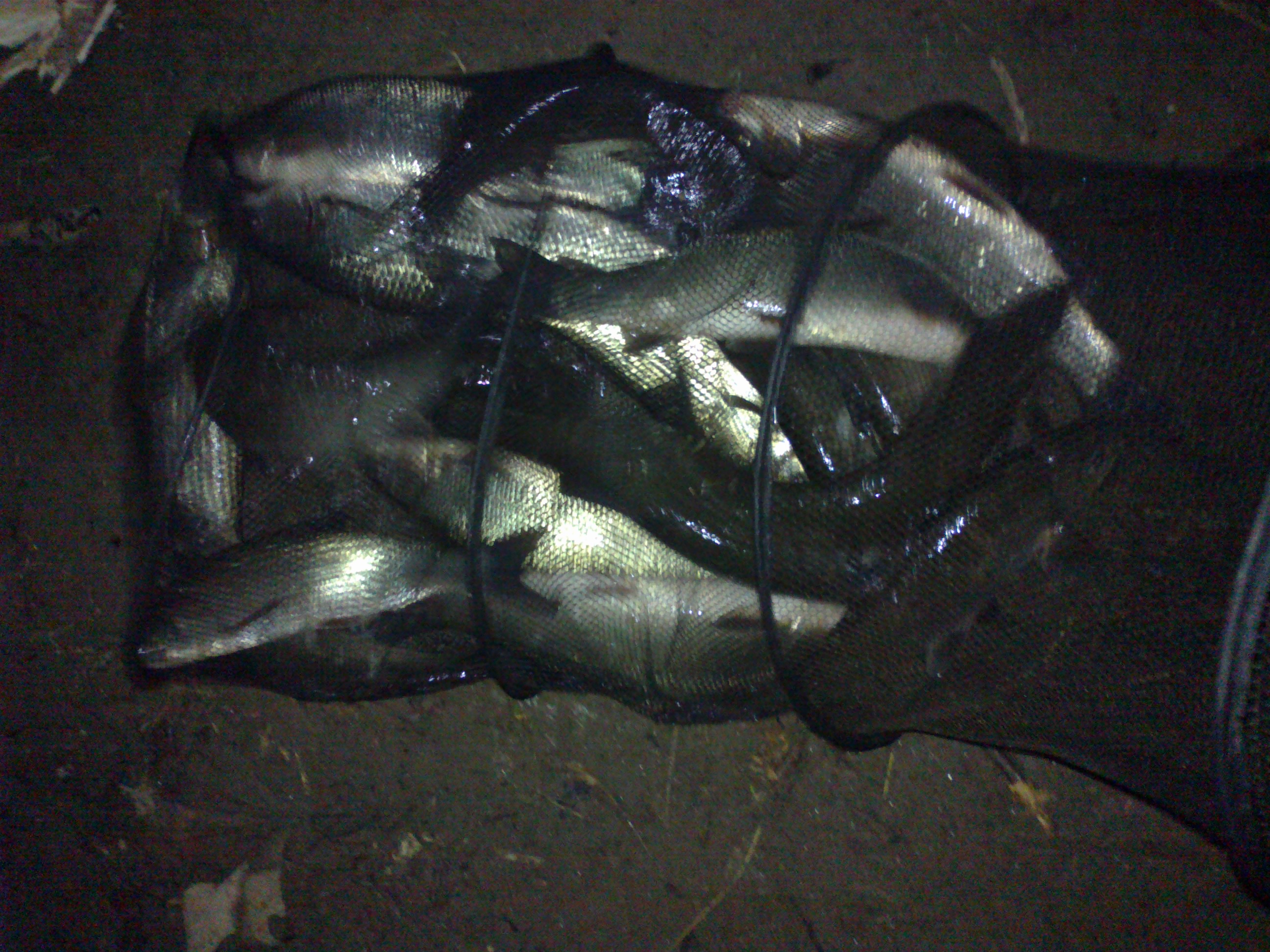 251220141326.jpg