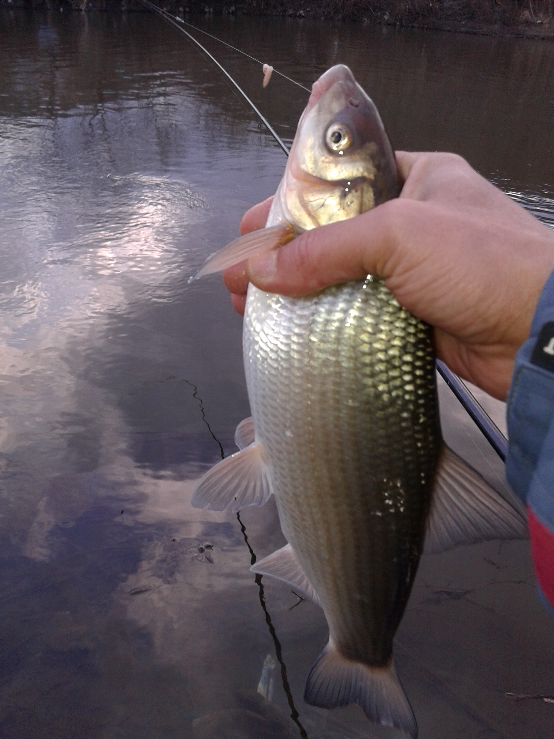 20150121_163047.jpg