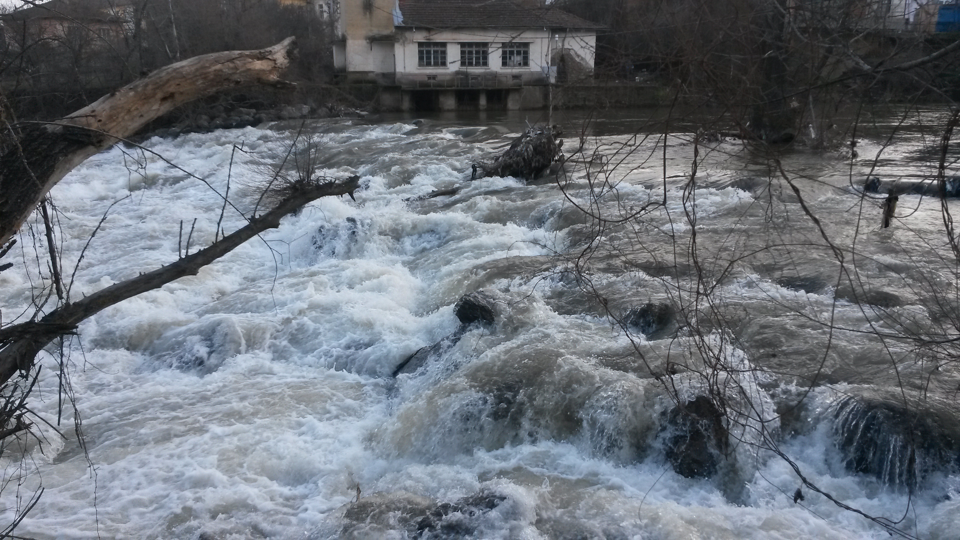 20150228_165432.jpg