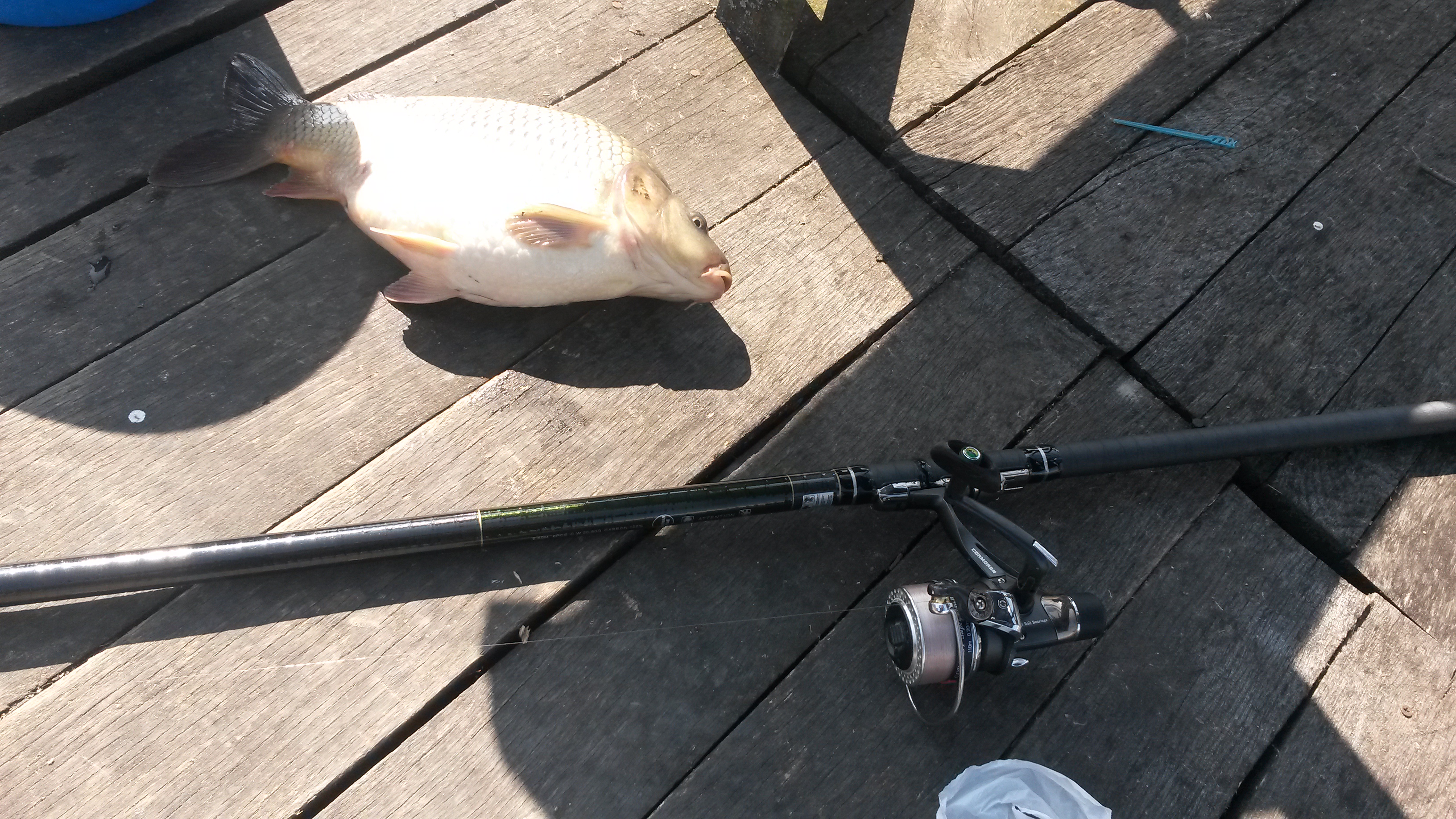 20150302_121653.jpg