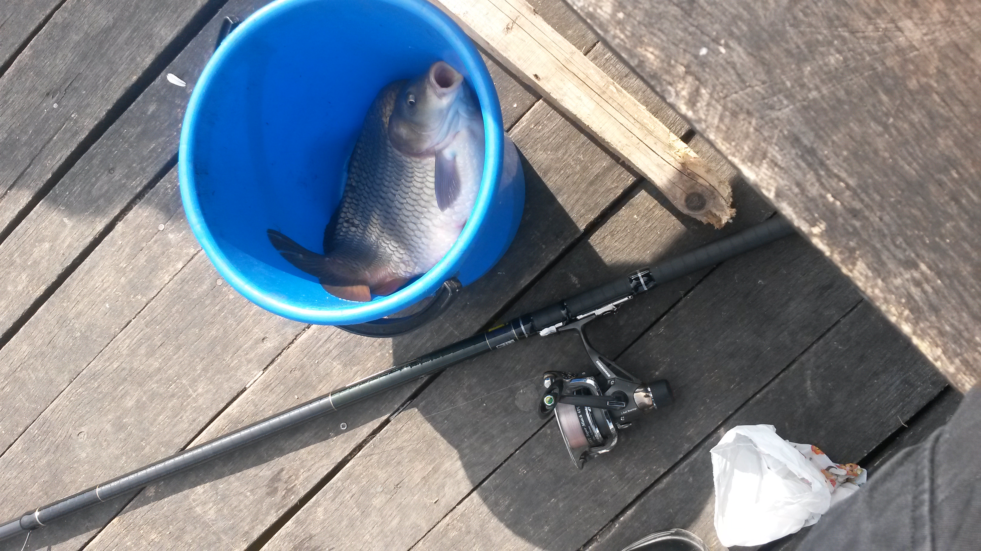 20150302_114328.jpg