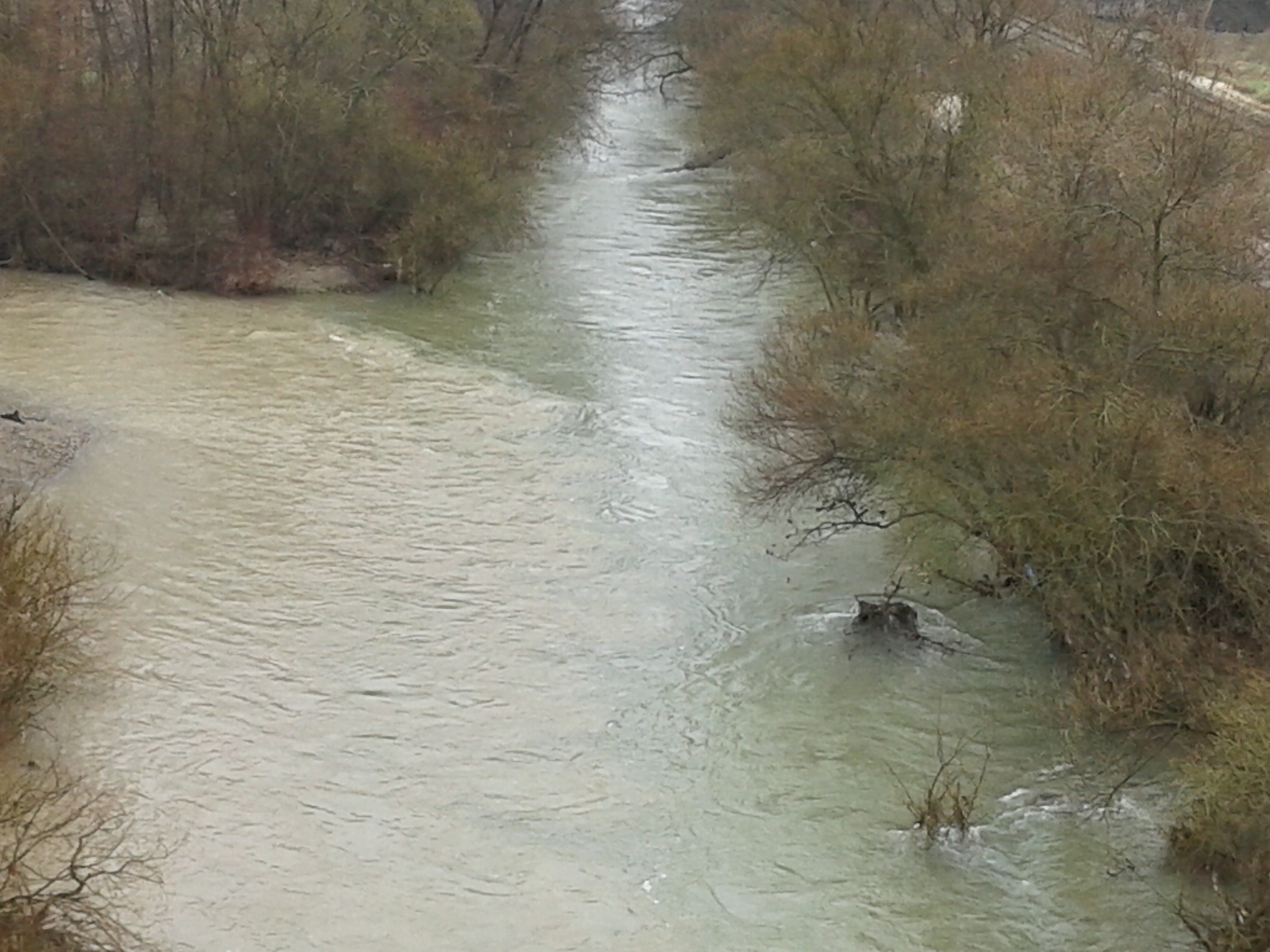 20150405_133310.jpg