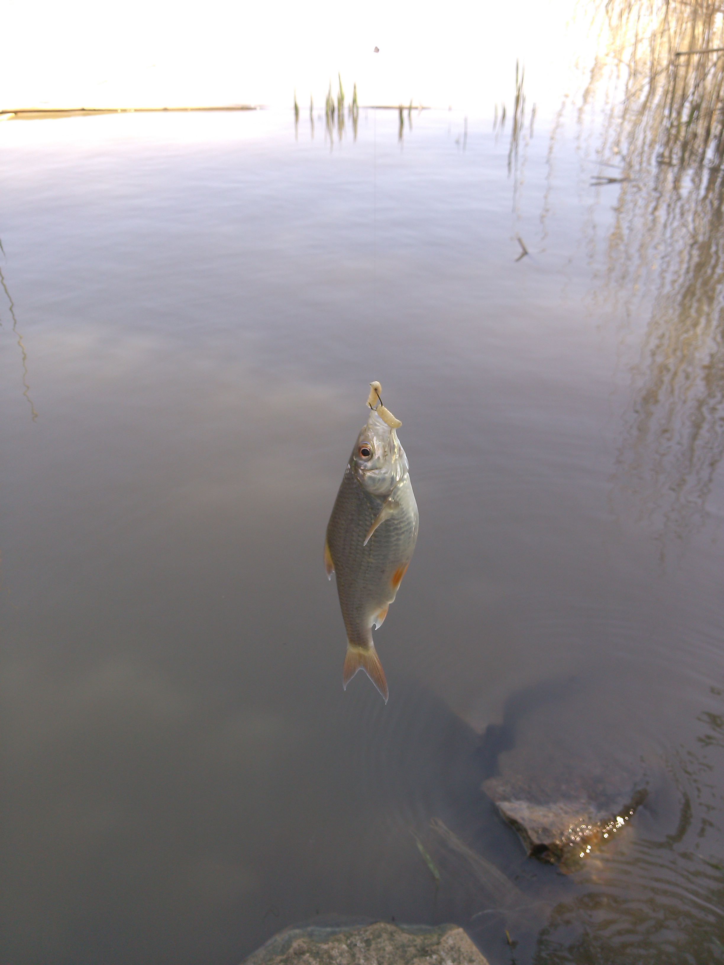 IMG-20150413-WA0000.jpeg