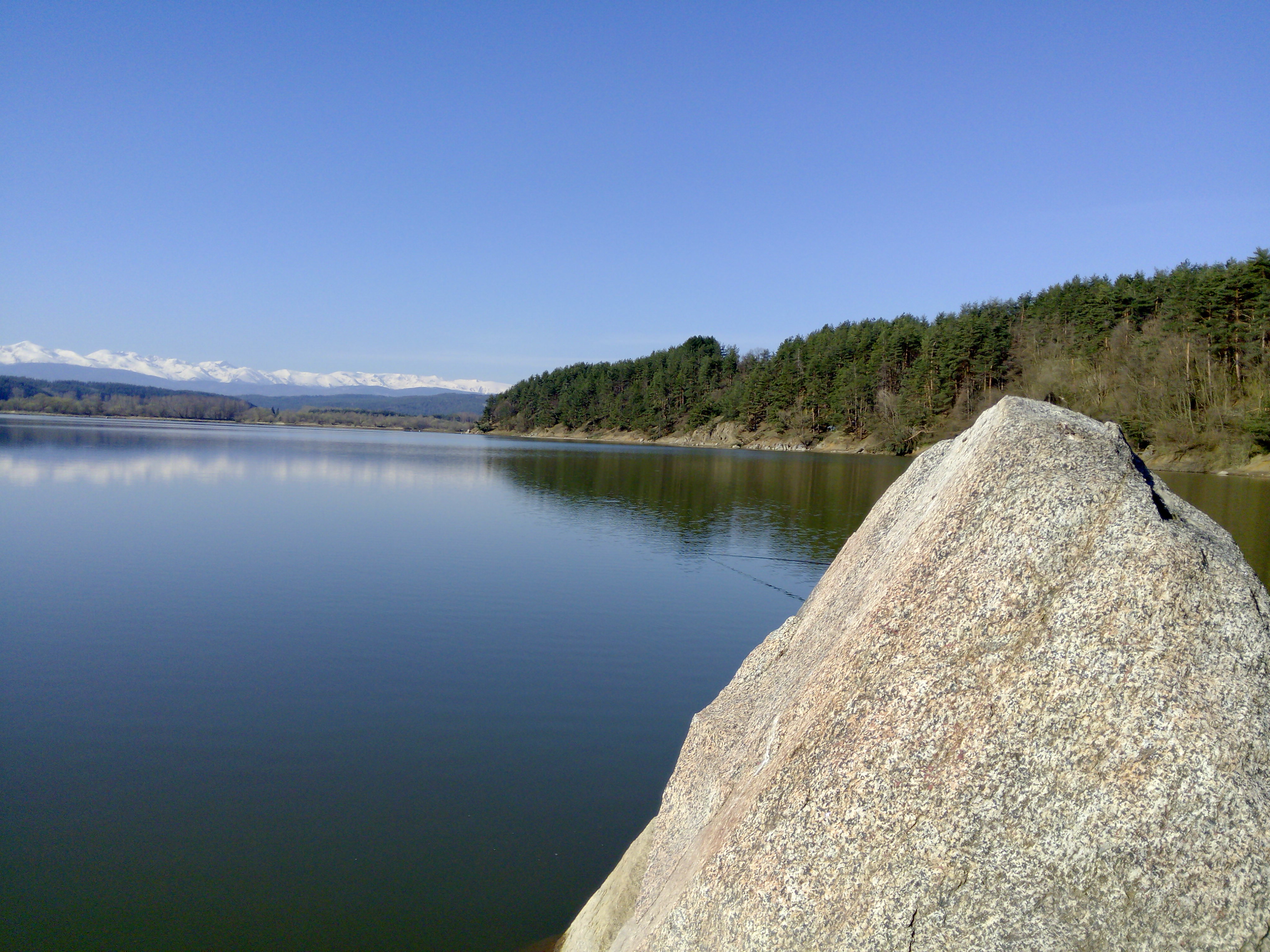 IMG_20150423_091434.jpg