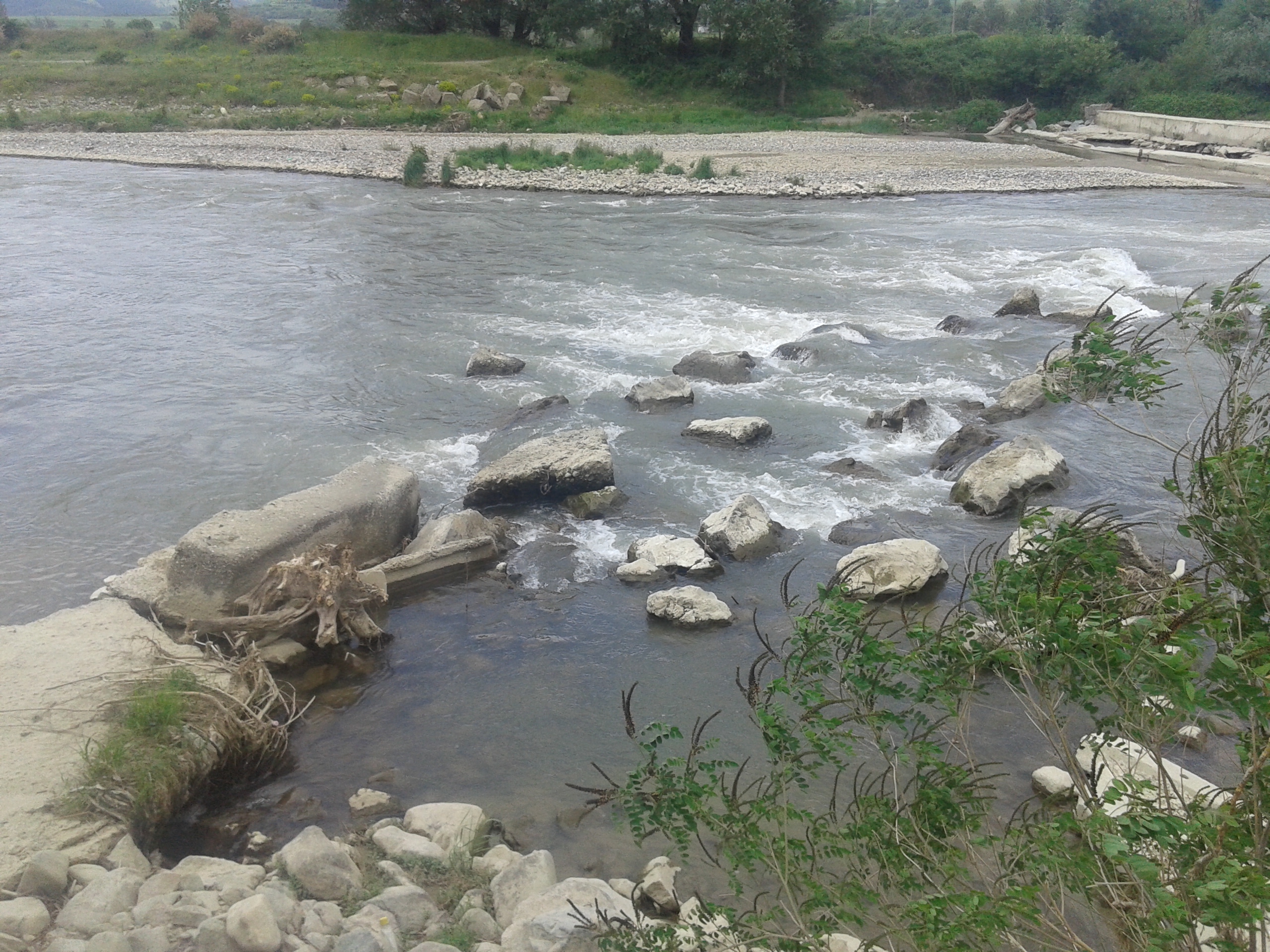 20150523_124144.jpg