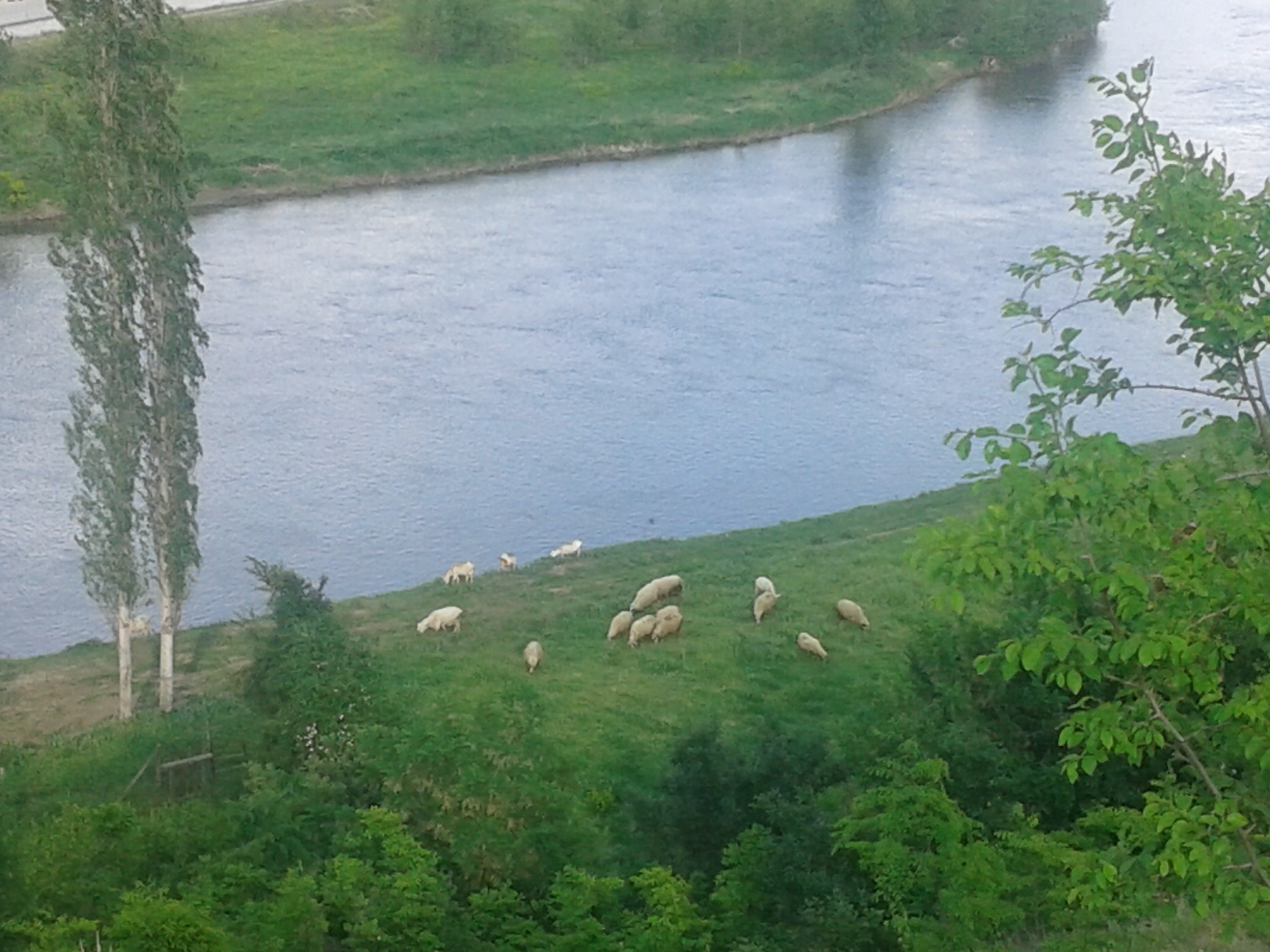 20150523_183806.jpg