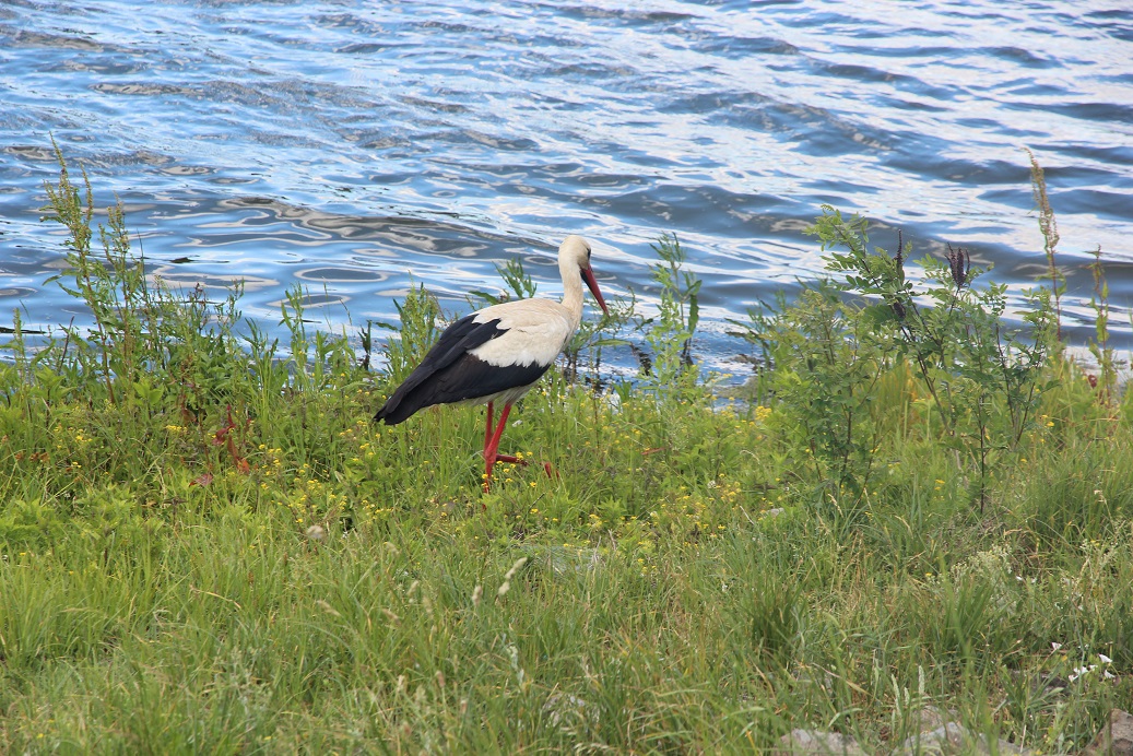 IMG_3875.JPG