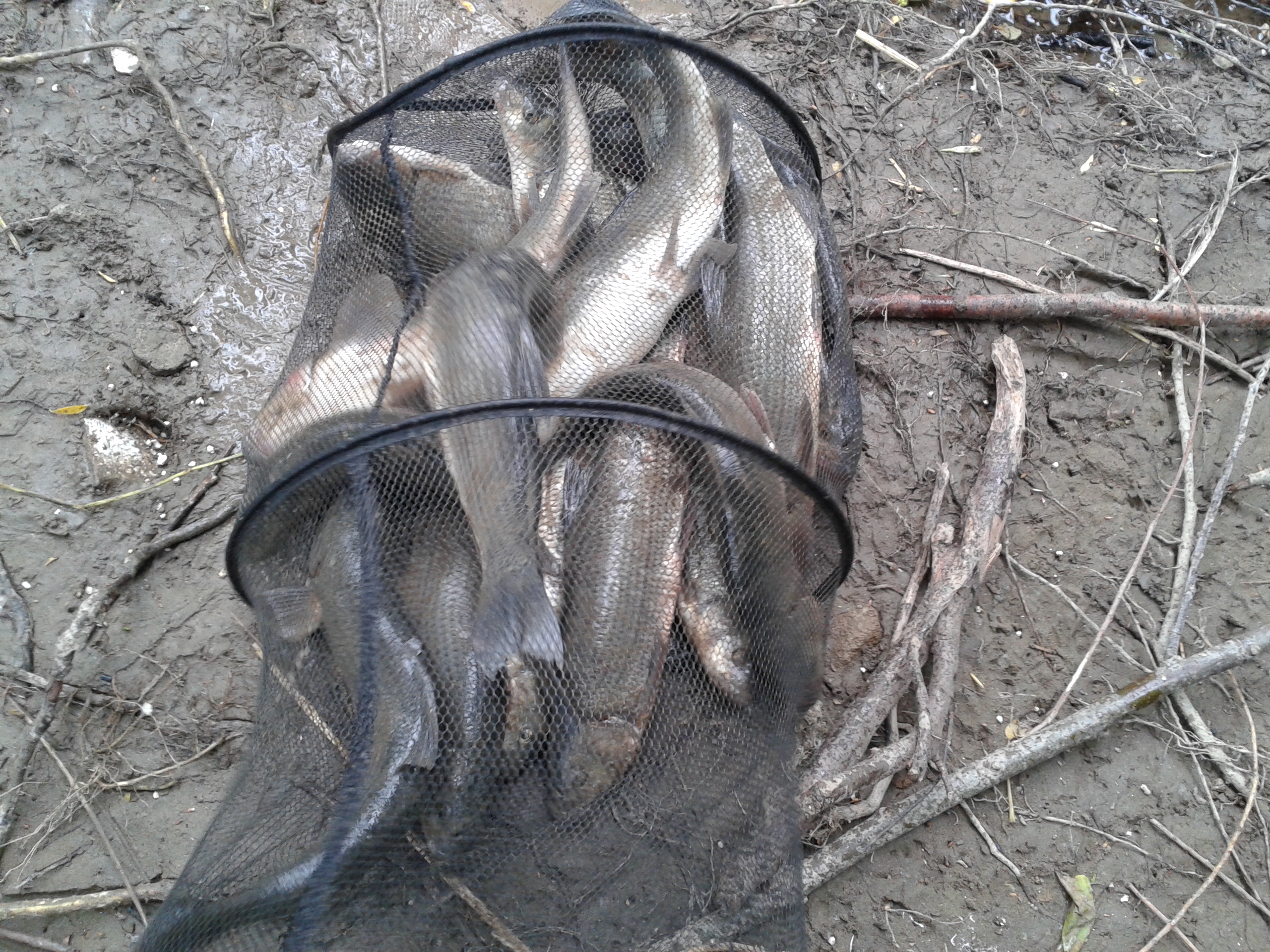 20150601_142245.jpg