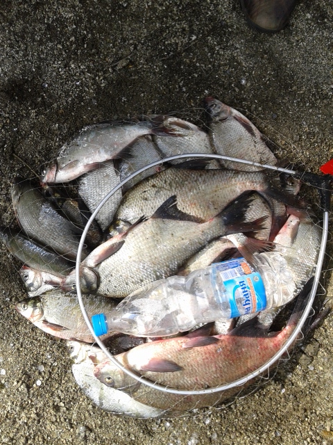 20150620_155852.jpg