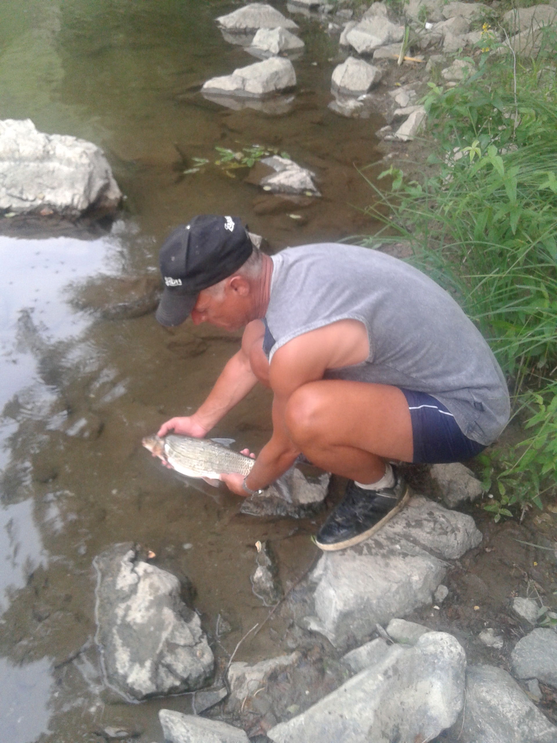 20150802_201616.jpg