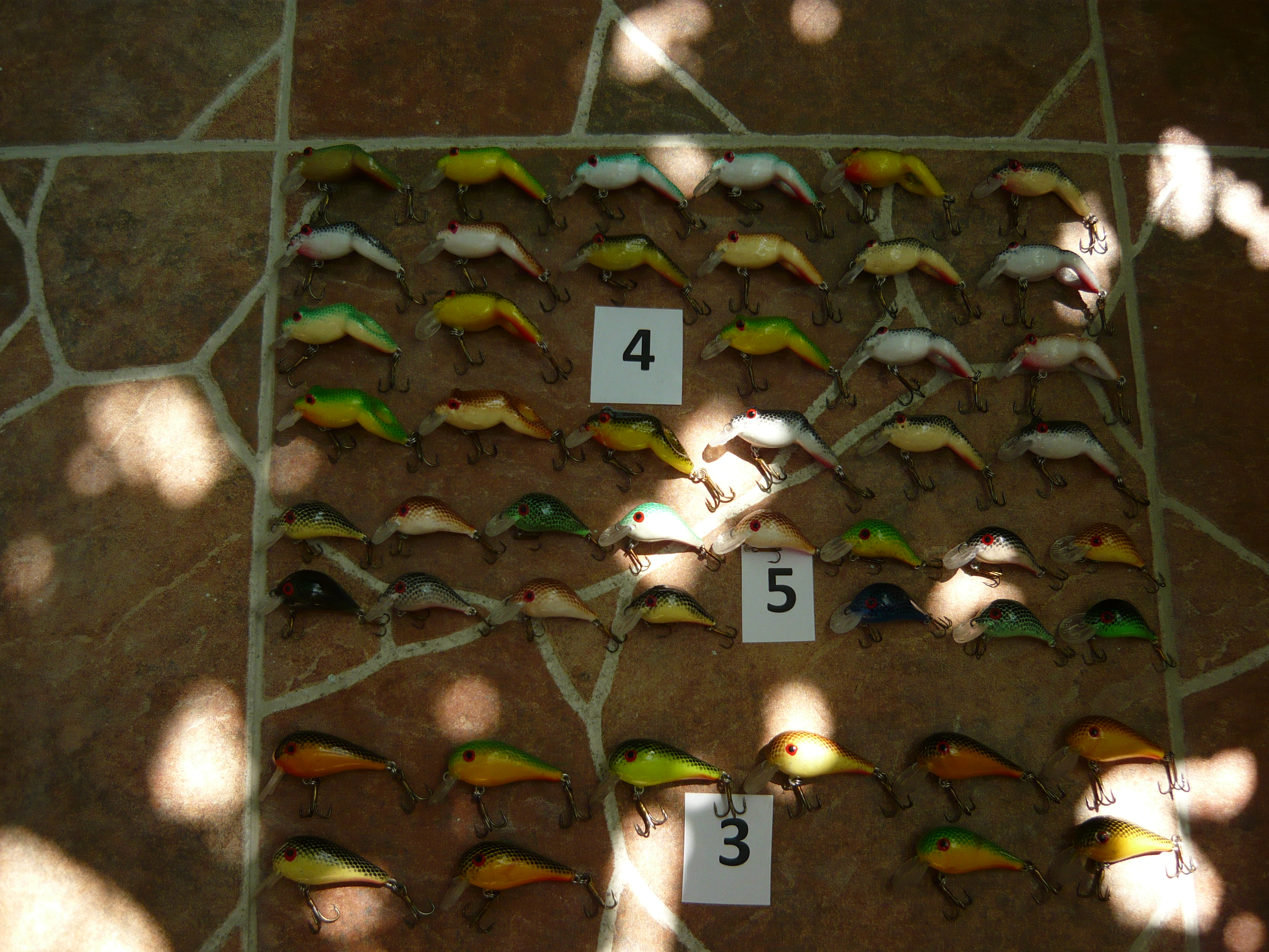 P1030306.JPG