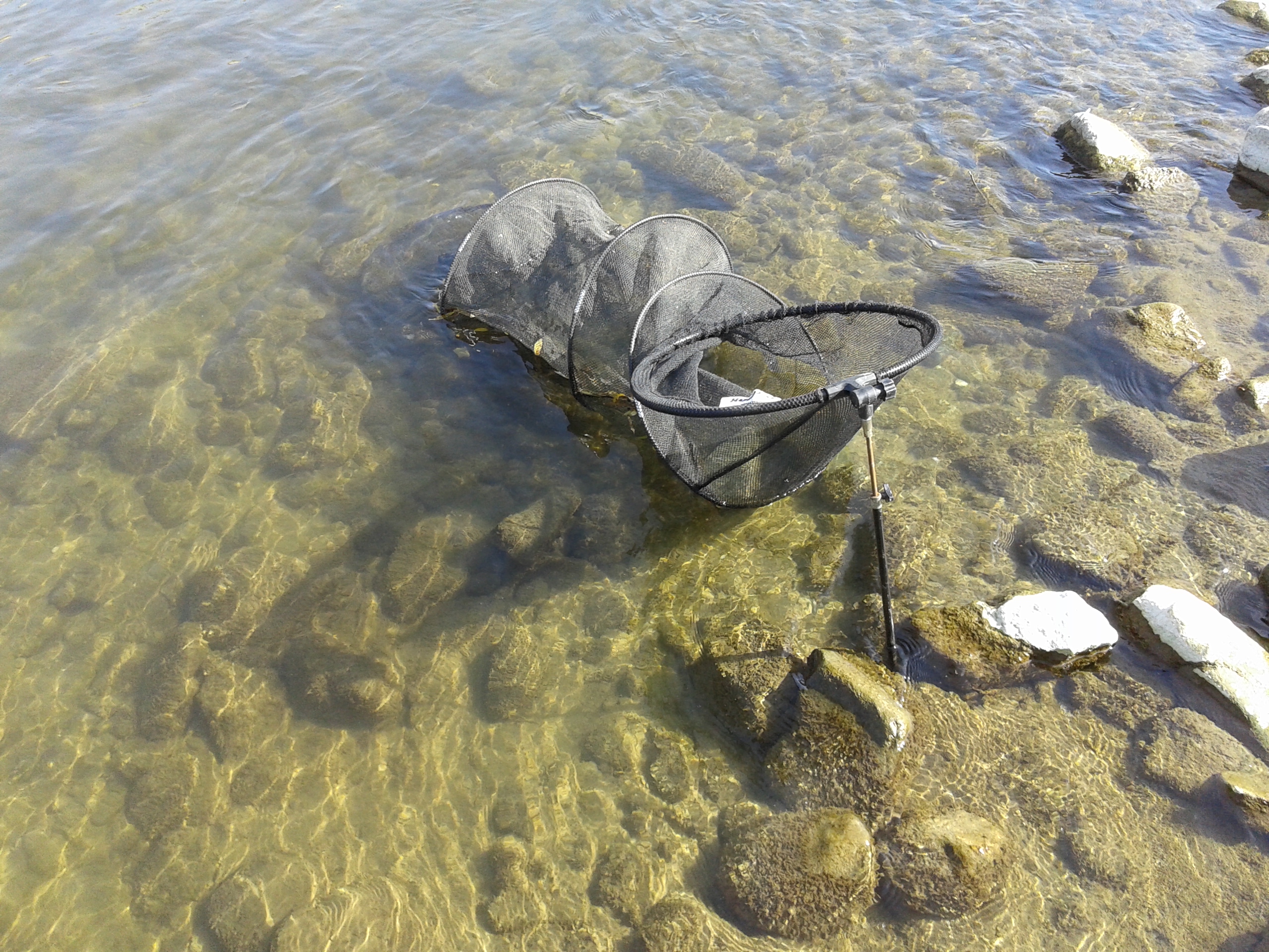 20150918_162140.jpg