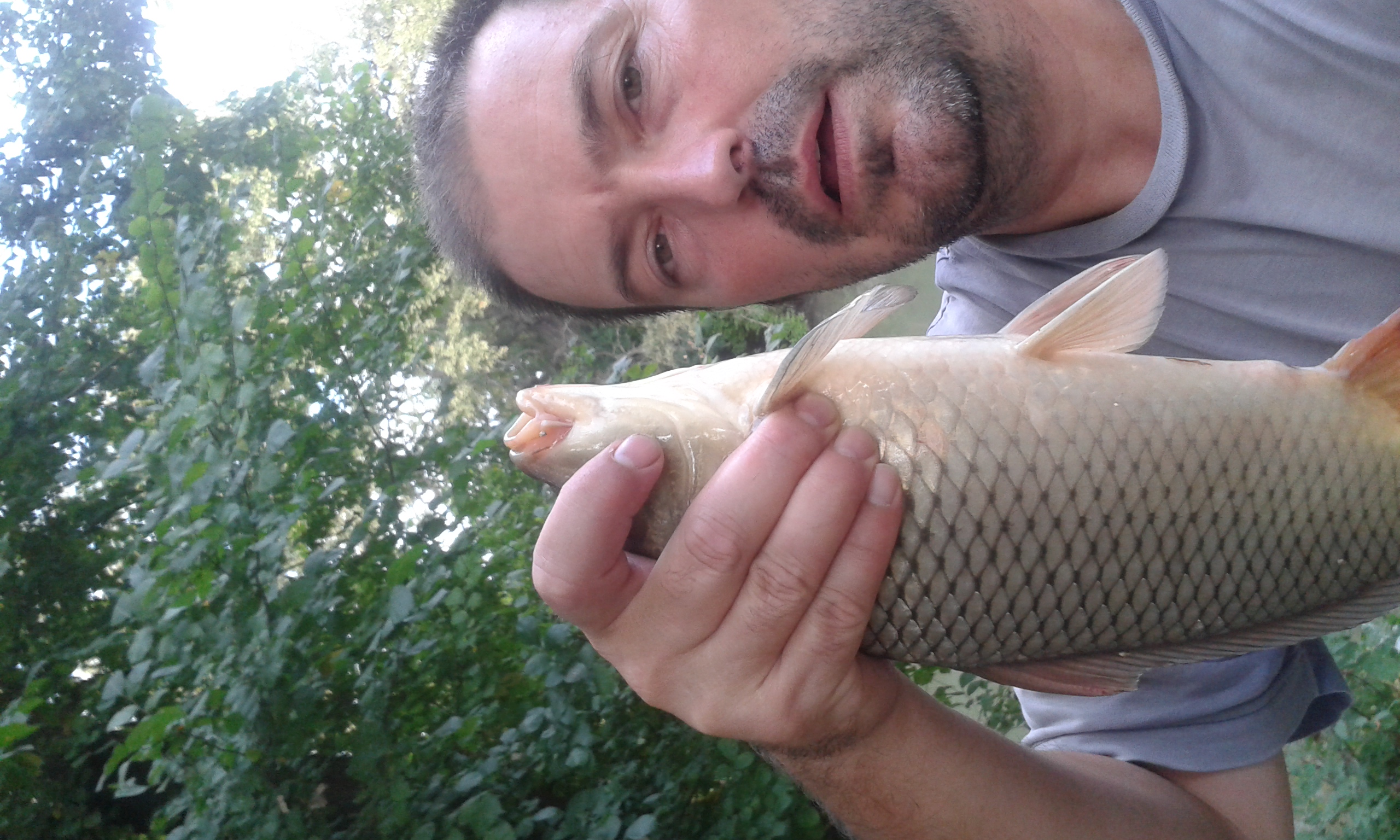 20150919_093106.jpg