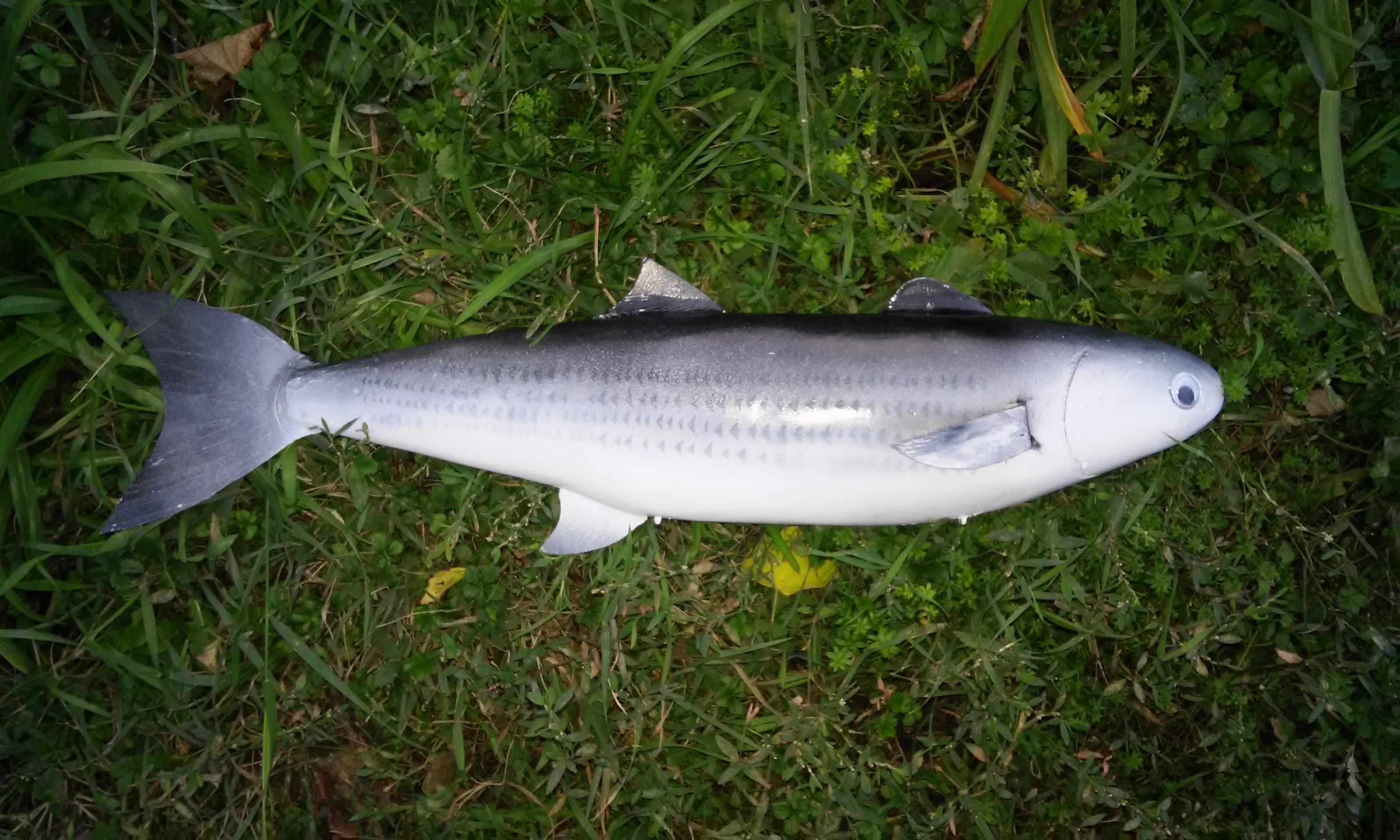 20151023_180125.jpg