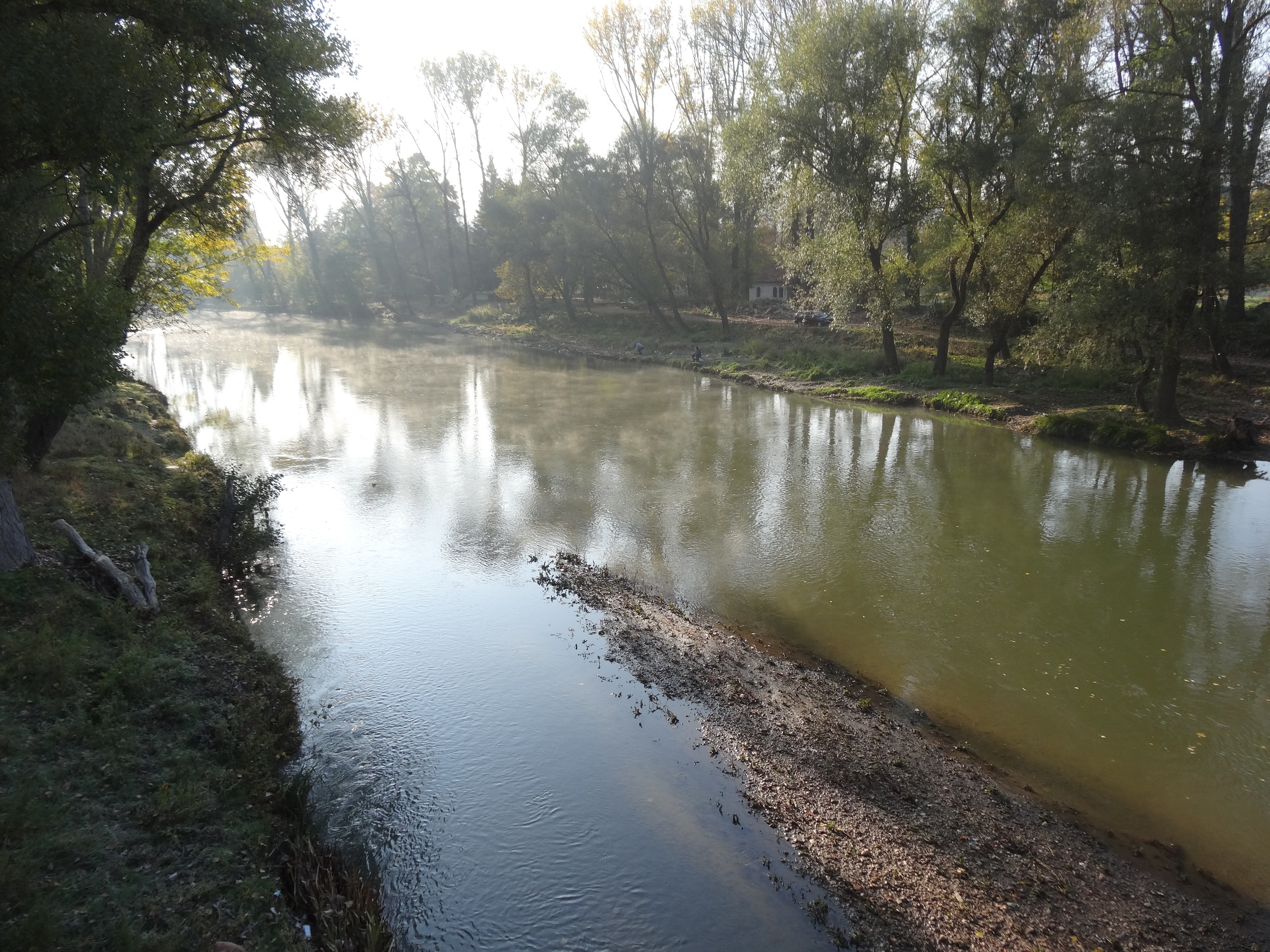DSC01572.JPG