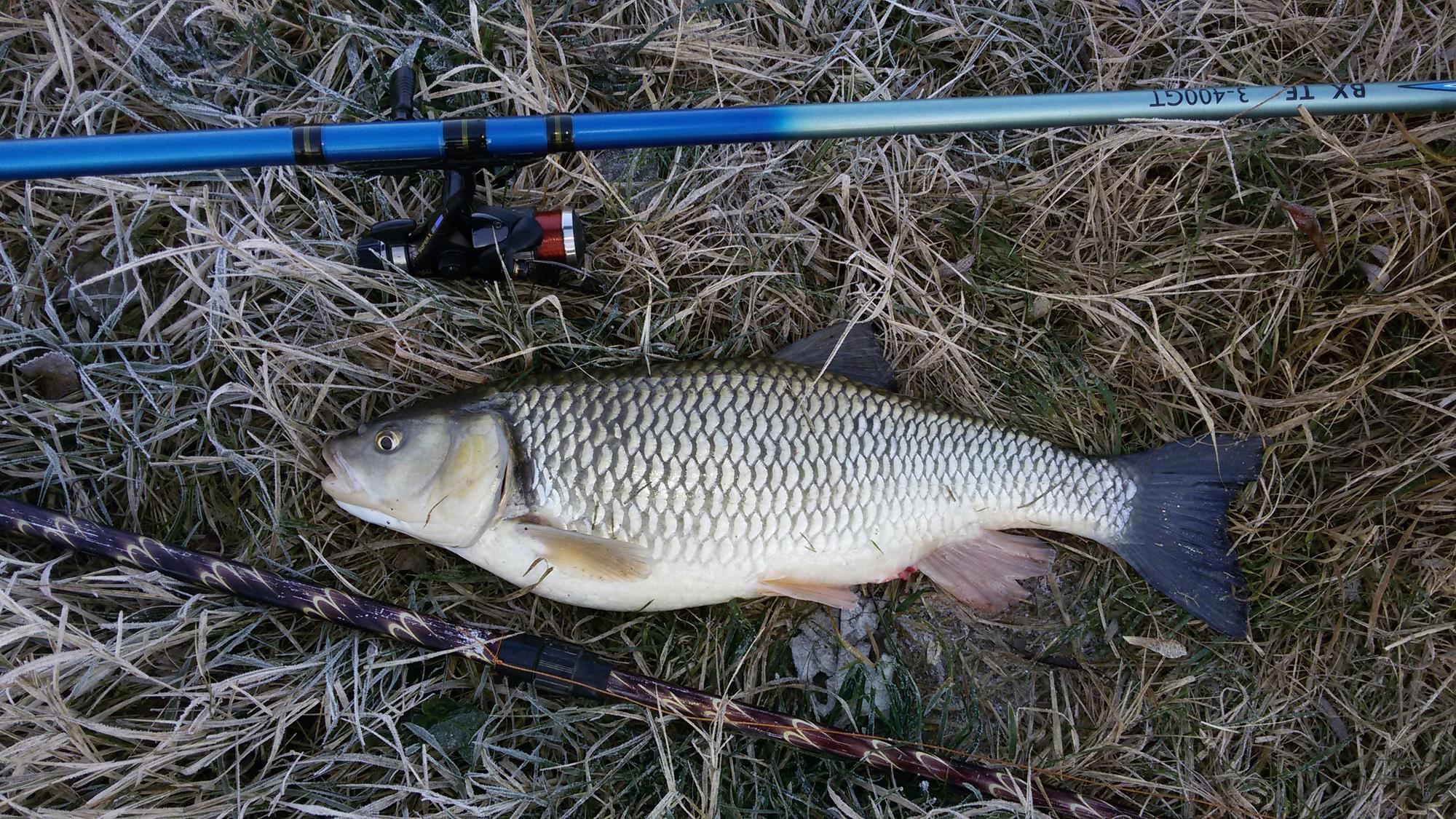 20151213_091924.jpg