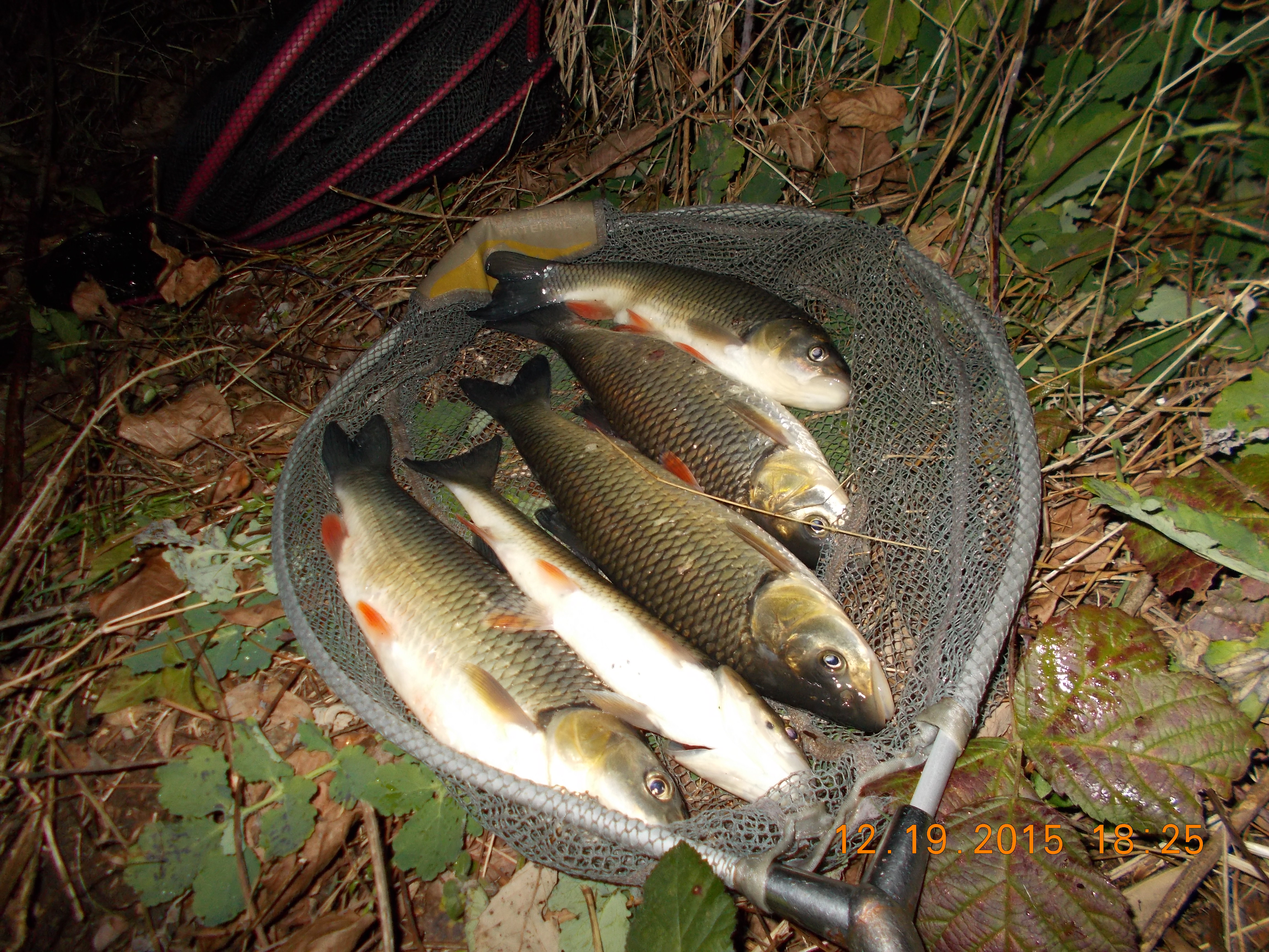 DSCN0281.jpg